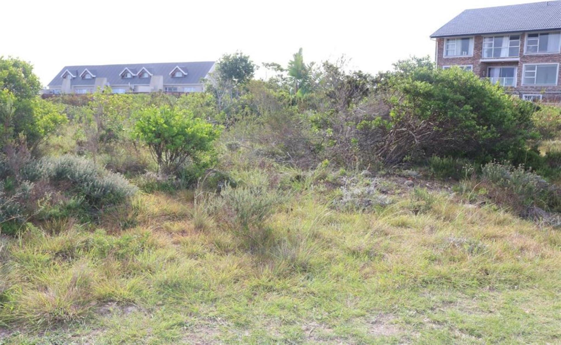 Image 2 of 6