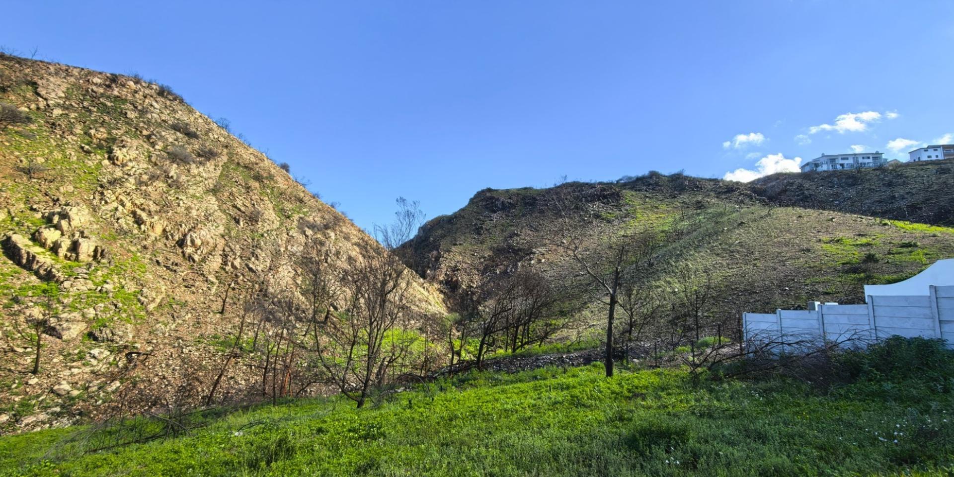 Image 2 of 6