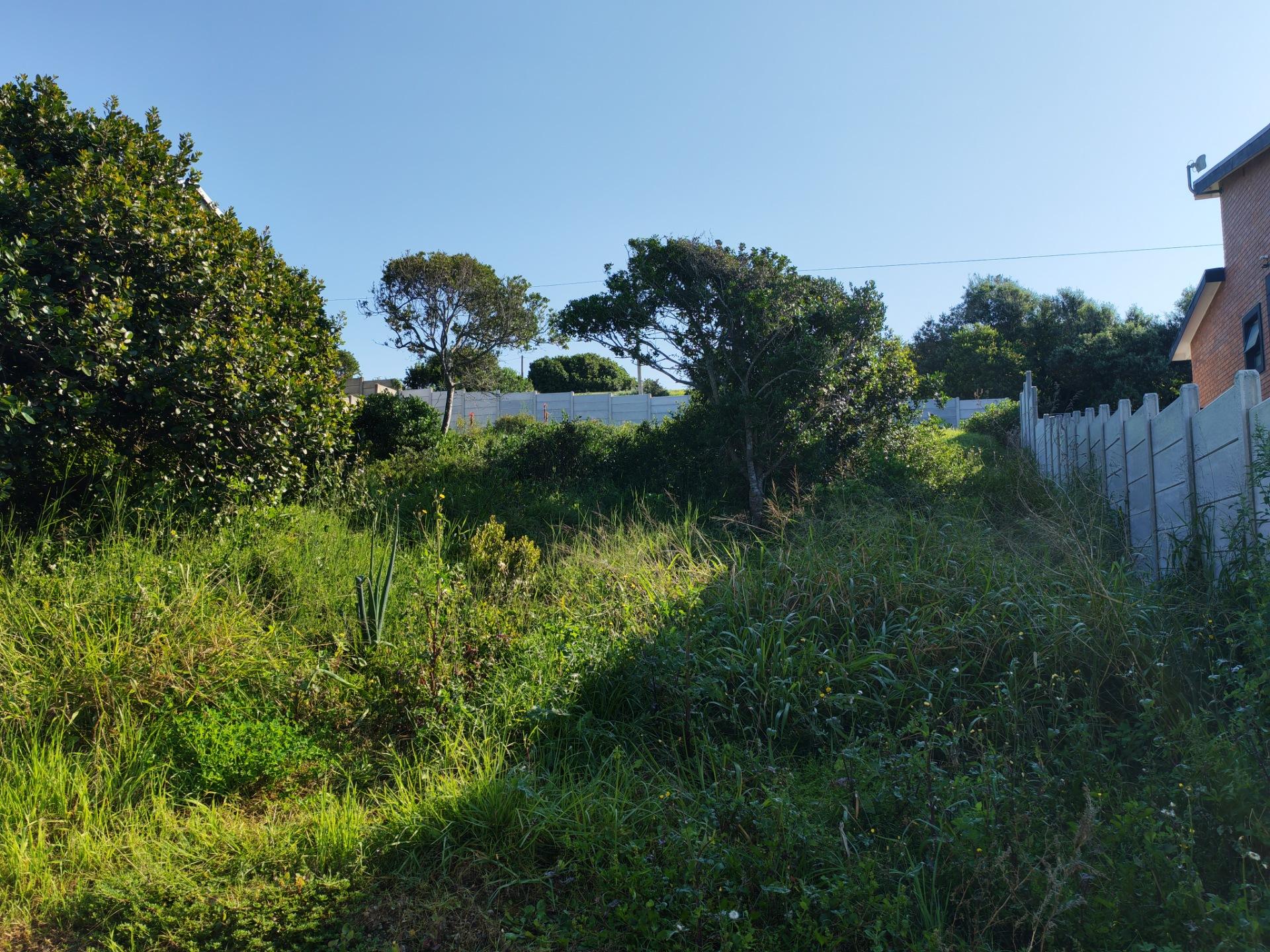 Image 18