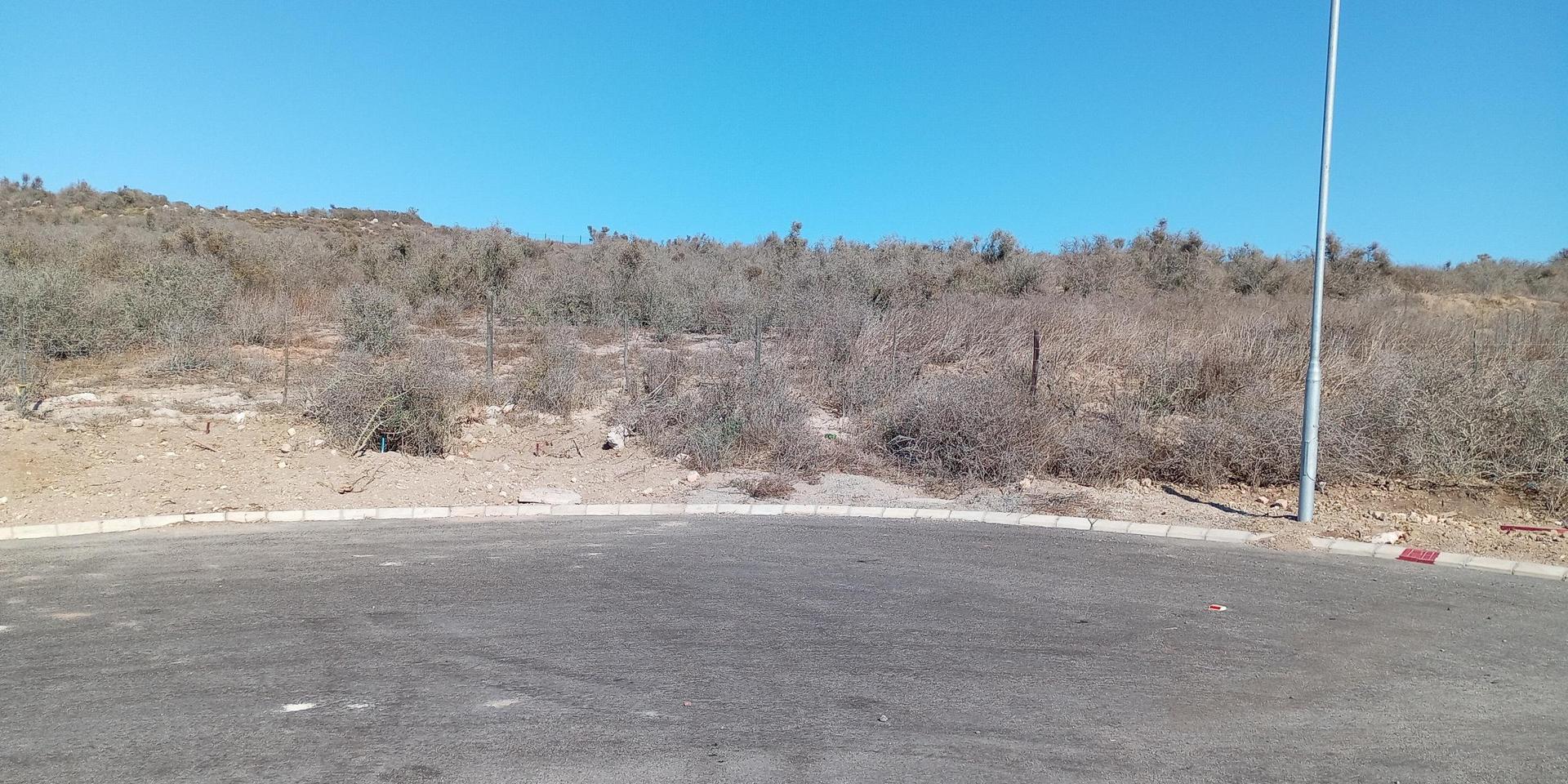 Image 3 of 6