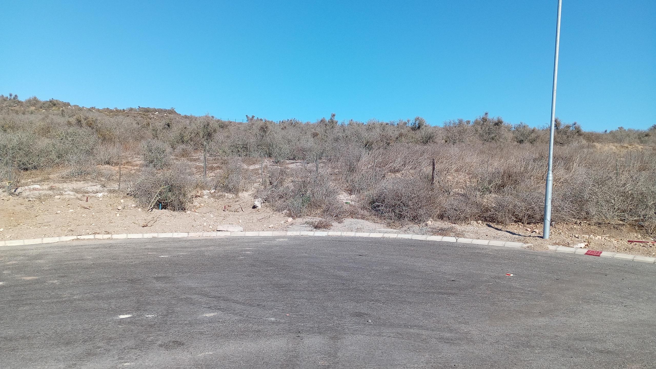 Image 3 of 6