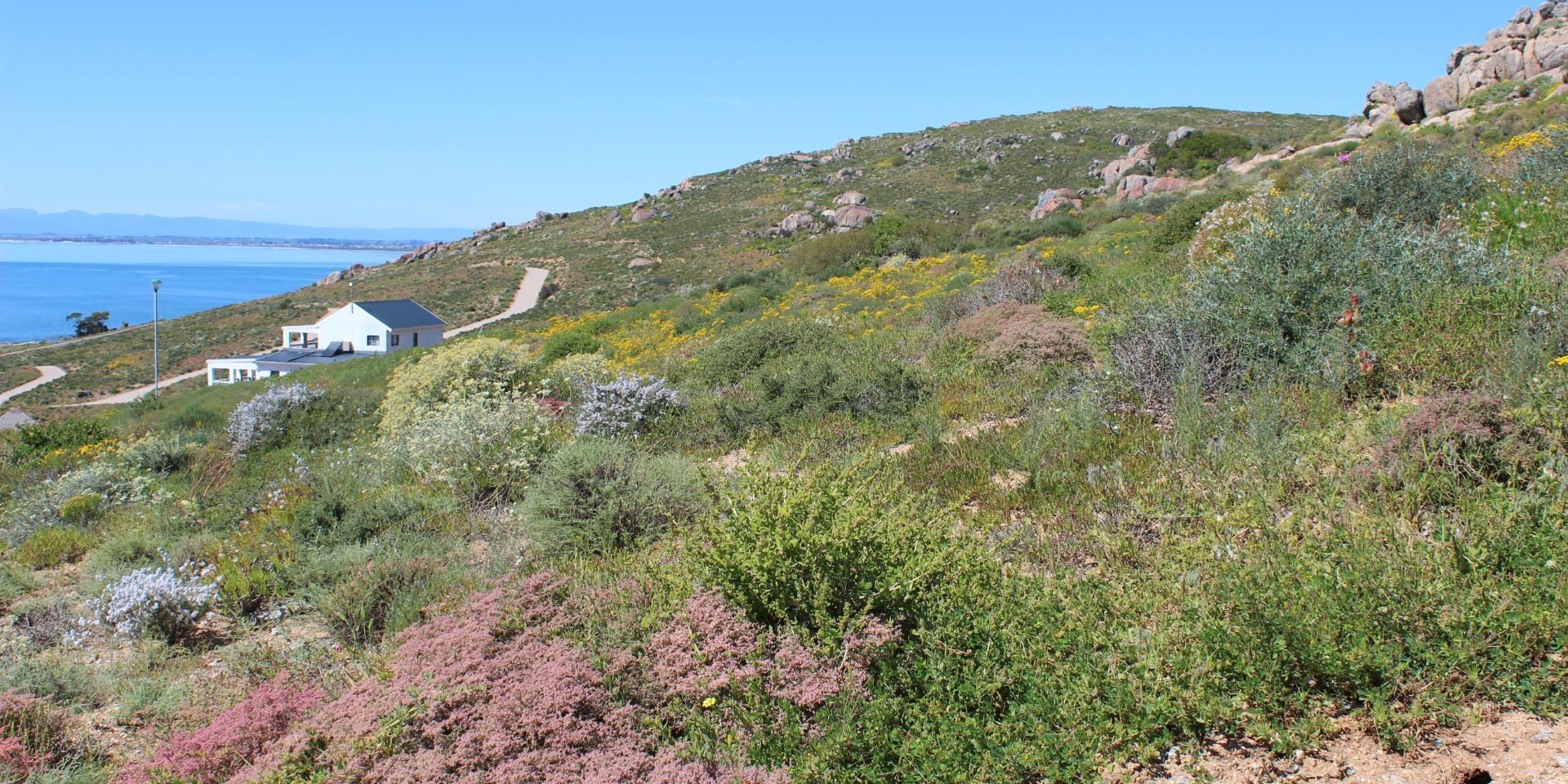 Image 5 of 6