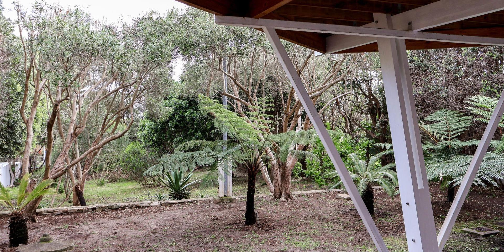 Image 4 of 6