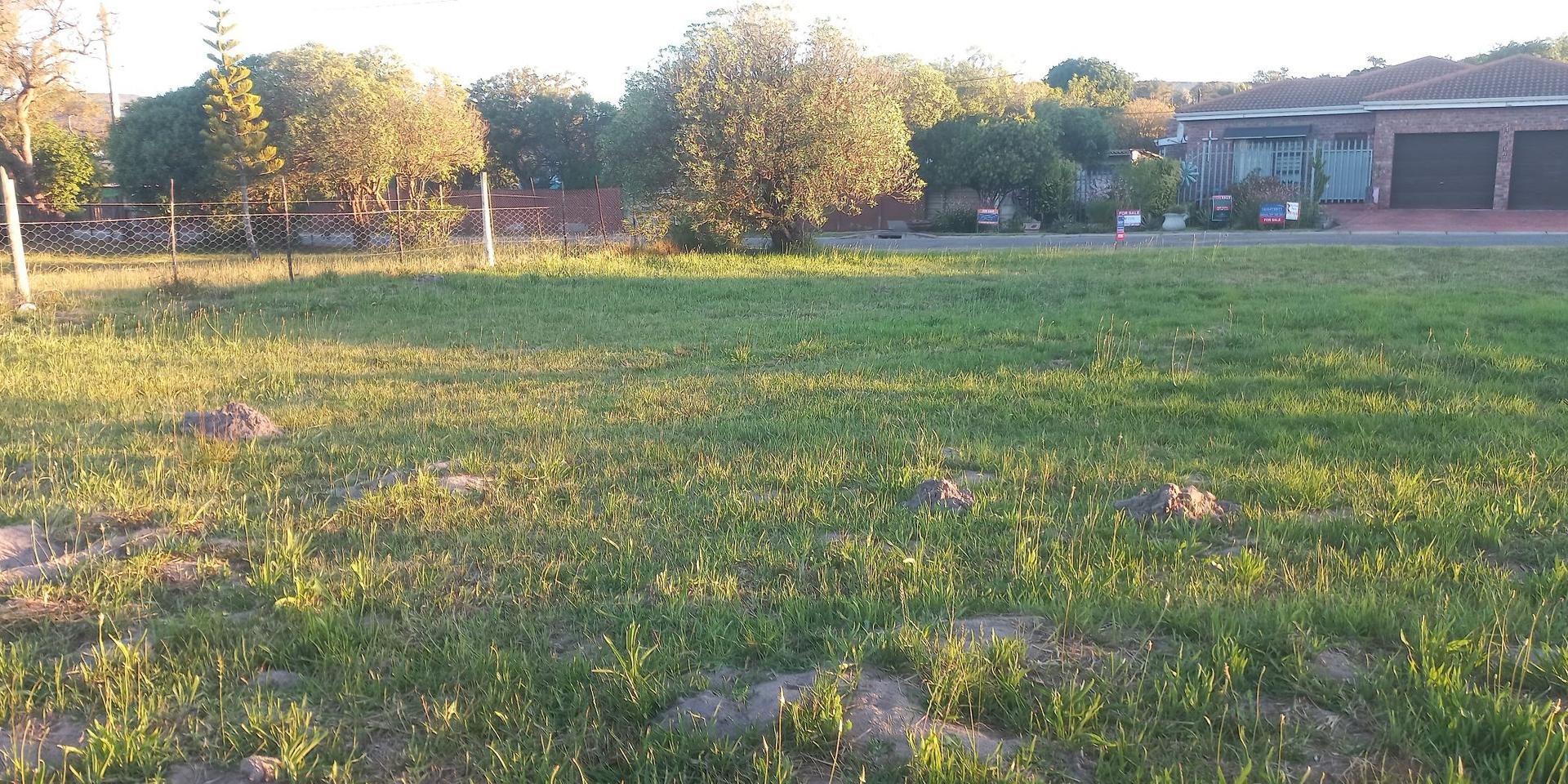 Image 5 of 6
