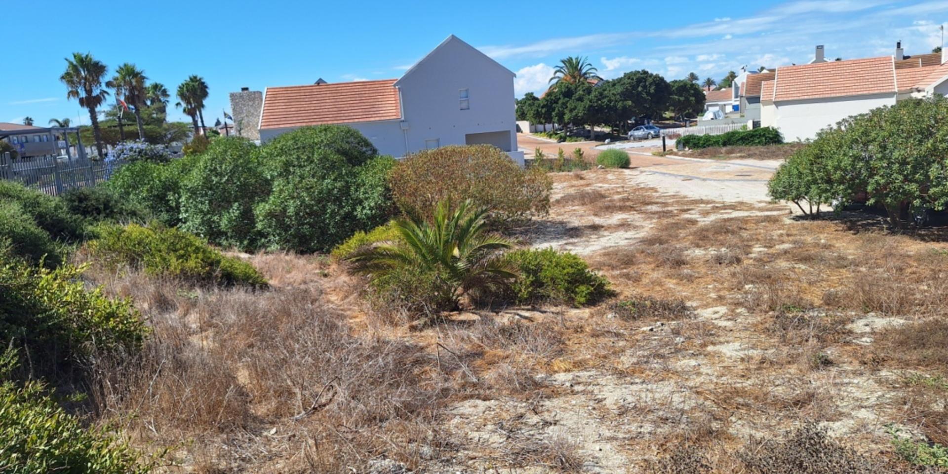 Image 5 of 6