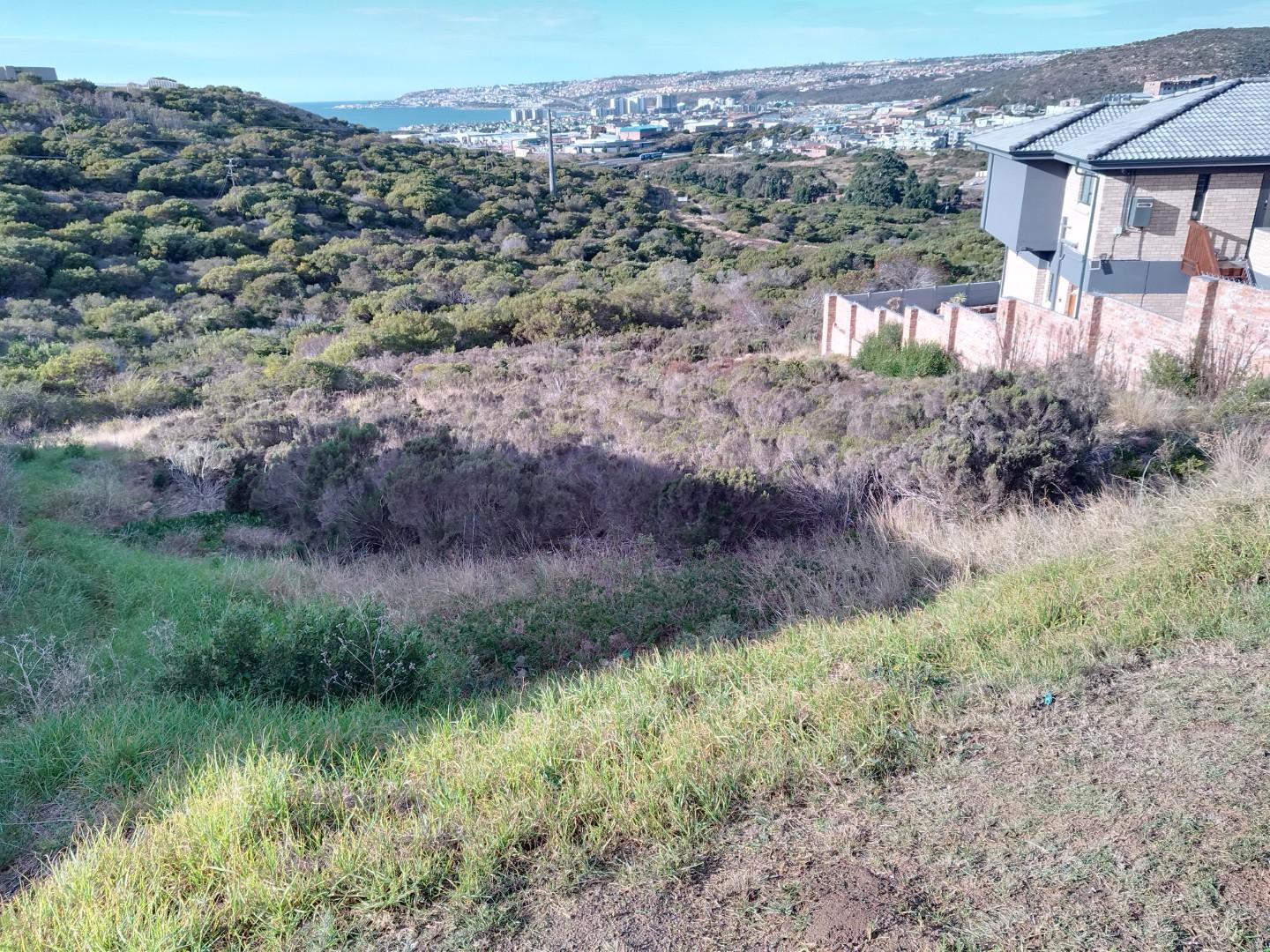 Image 4 of 6