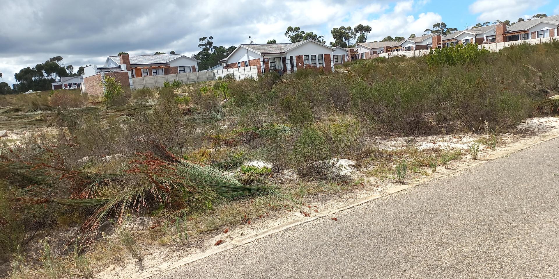 Image 4 of 6