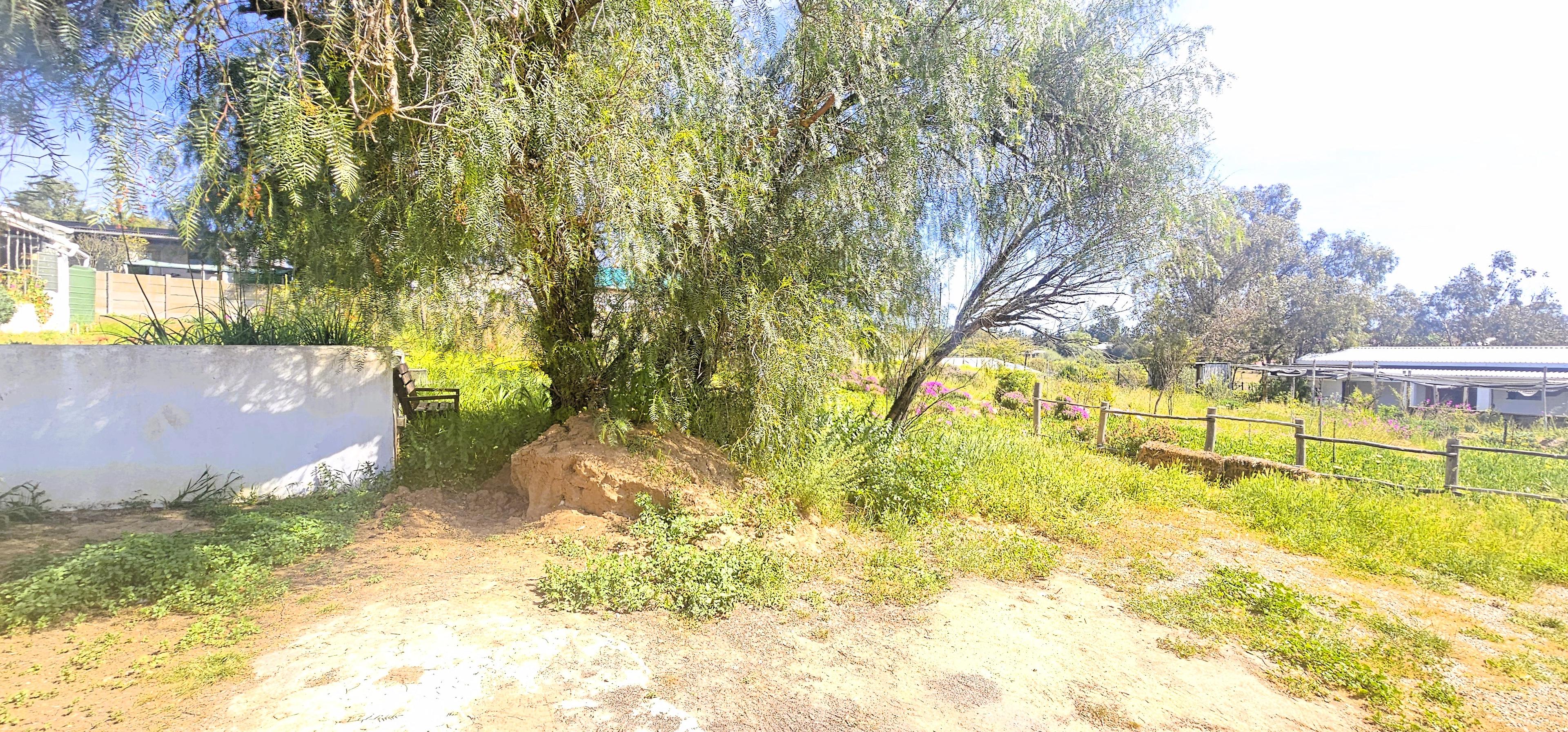 Image 21