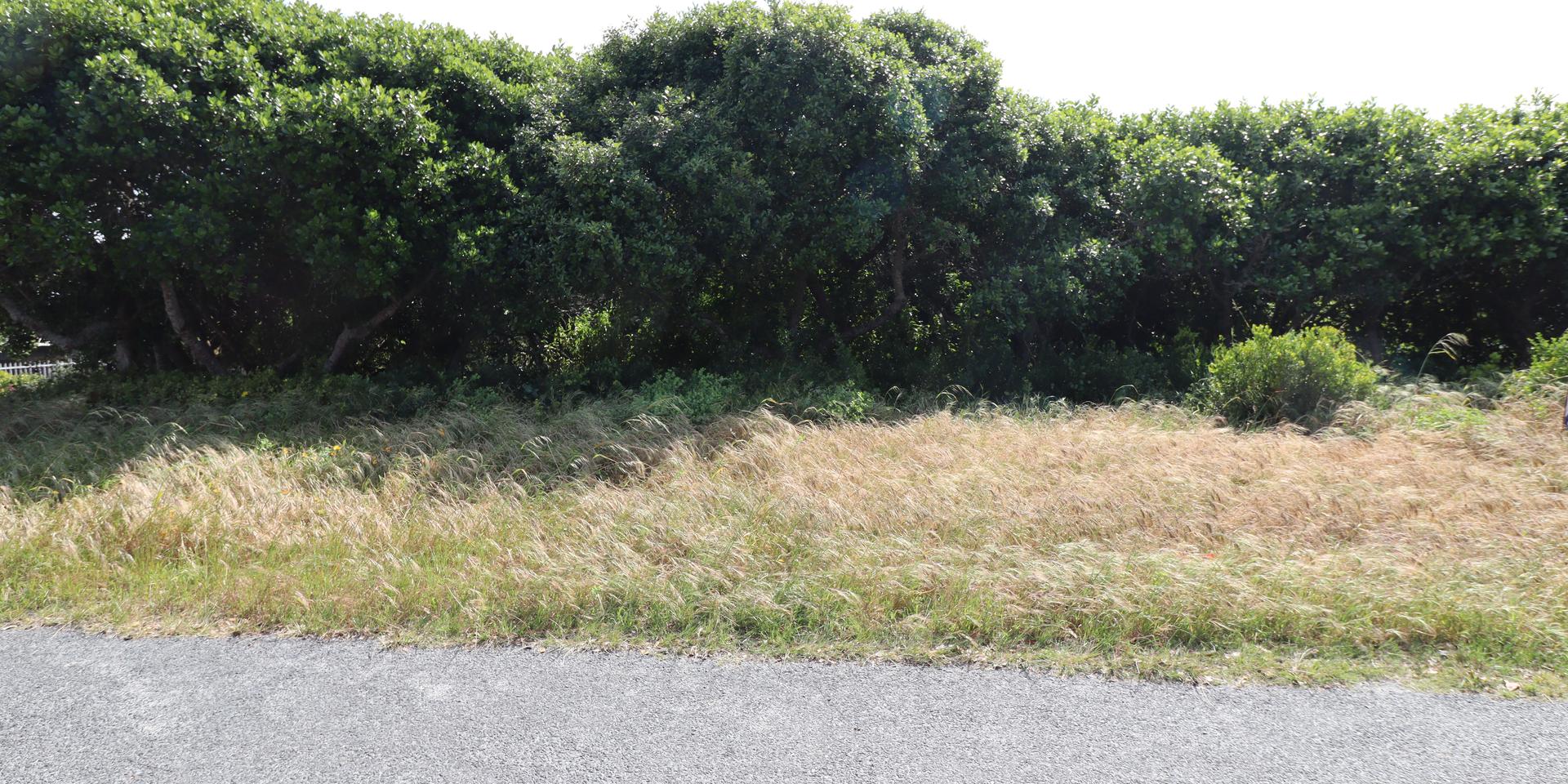 Image 3 of 6