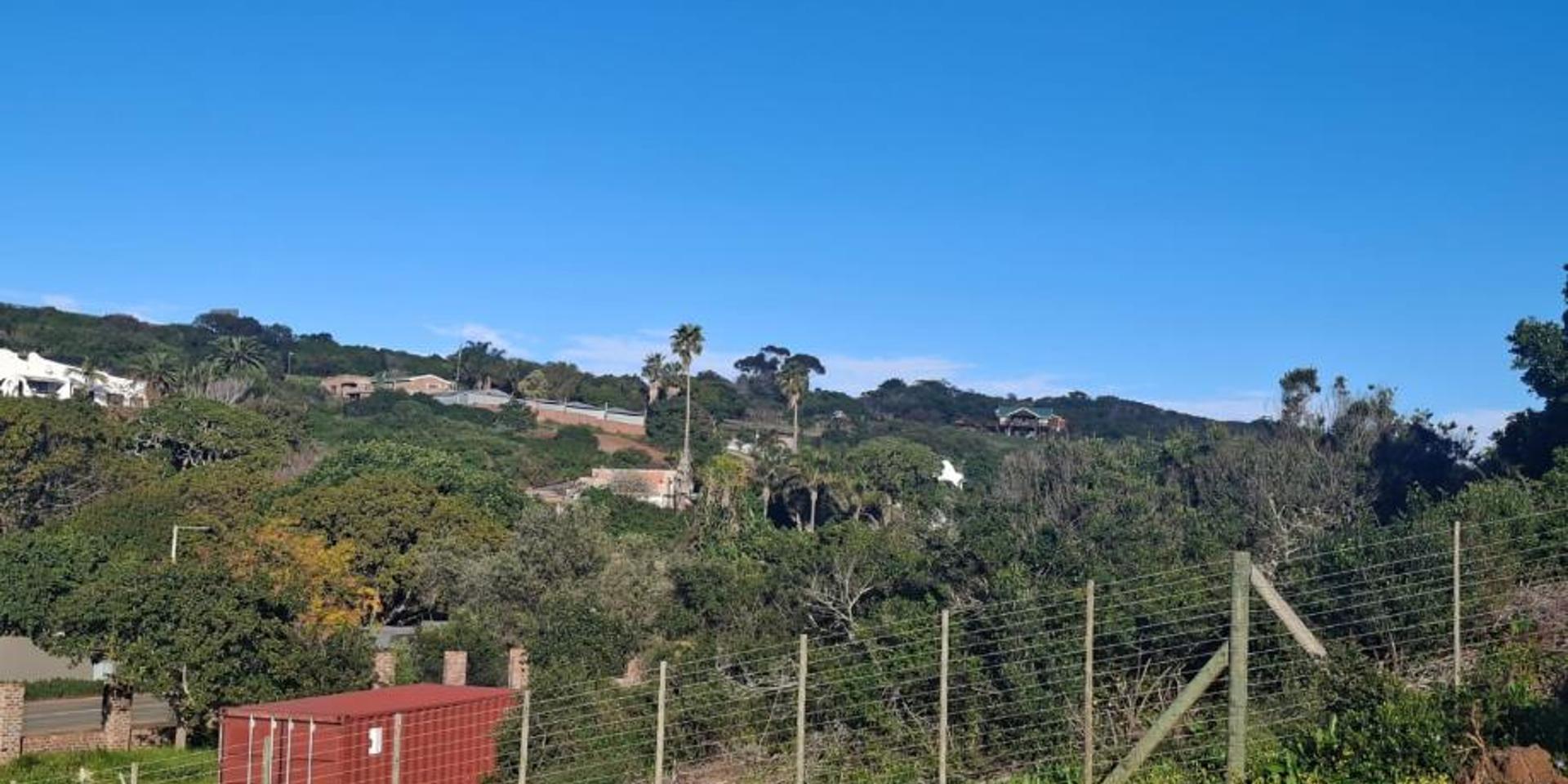 Image 5 of 6
