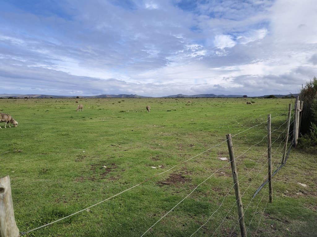 Image 16