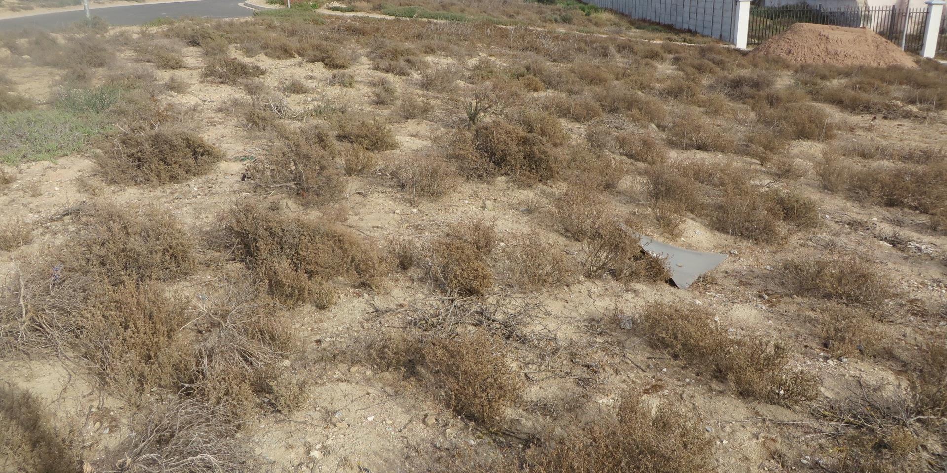 Image 5 of 6