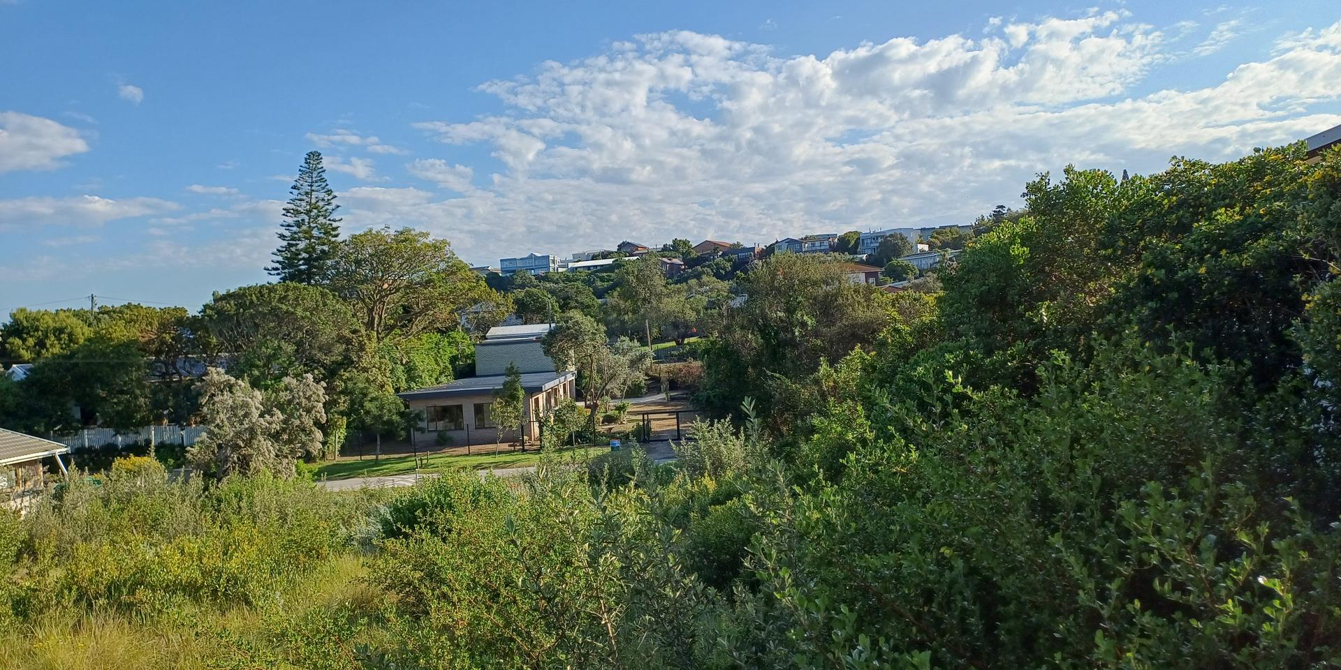 Image 3 of 6