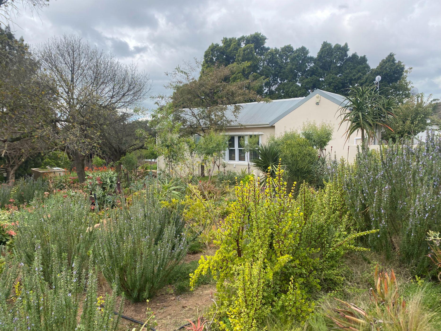 Image 26