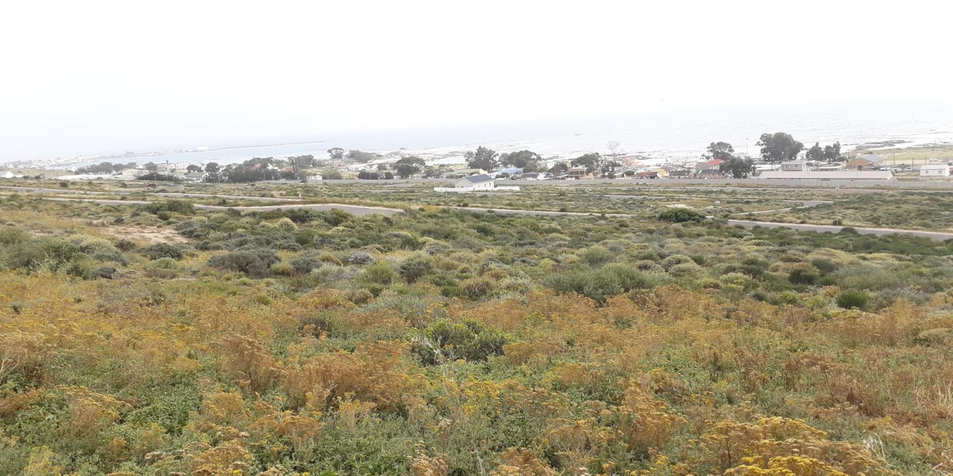Image 4 of 6
