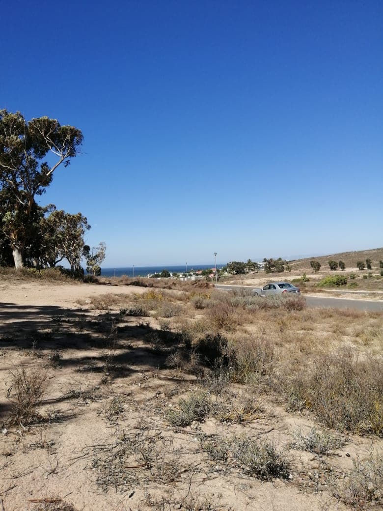 Image 4 of 6