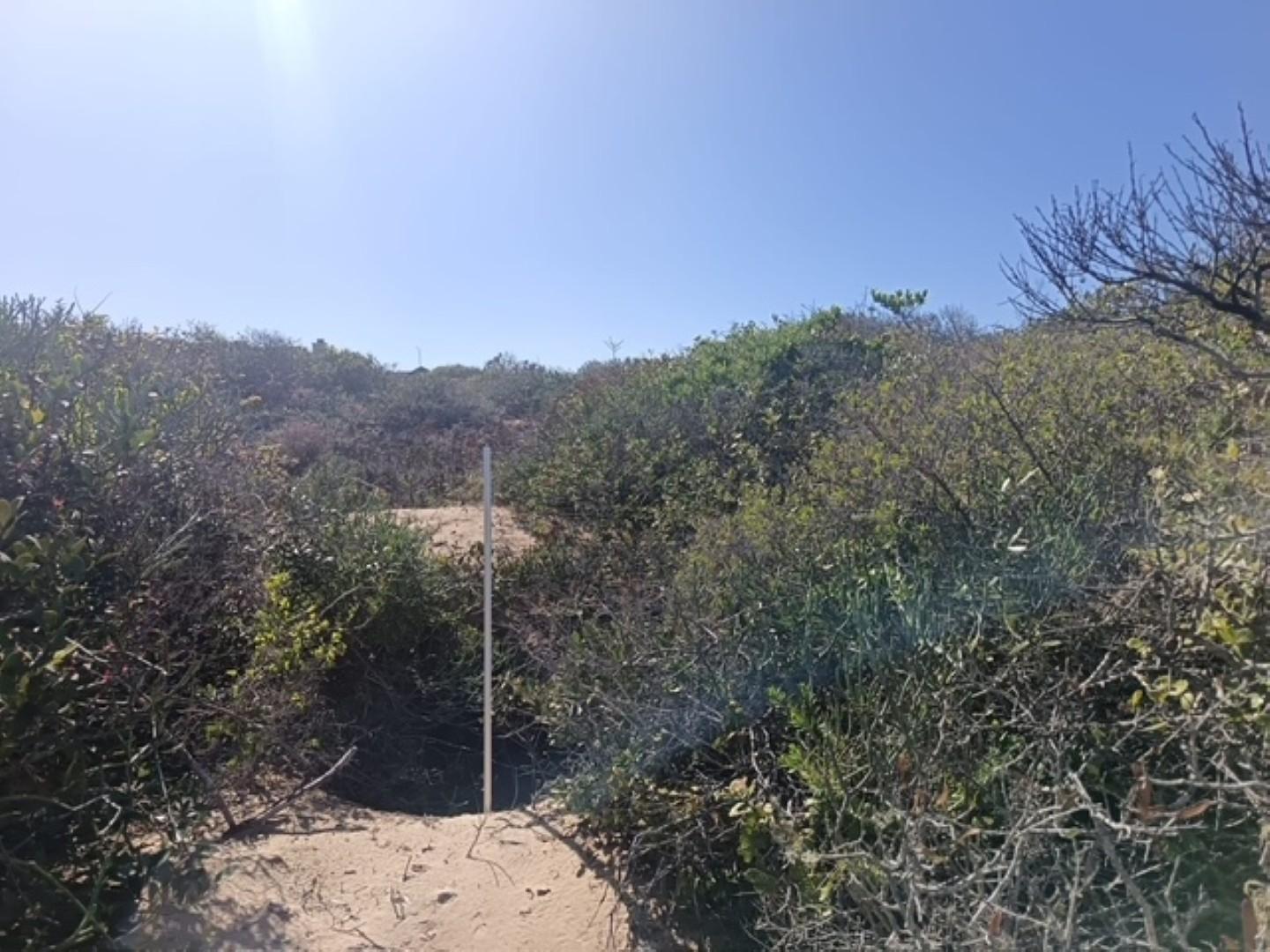 Image 3 of 6