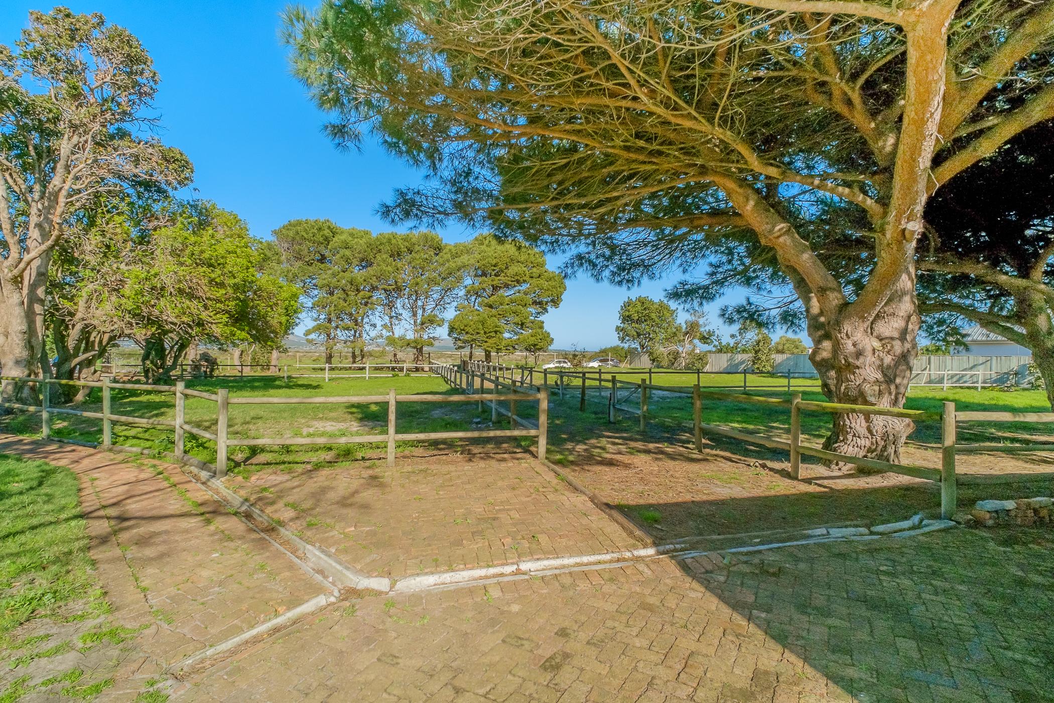 Image 4 of 6