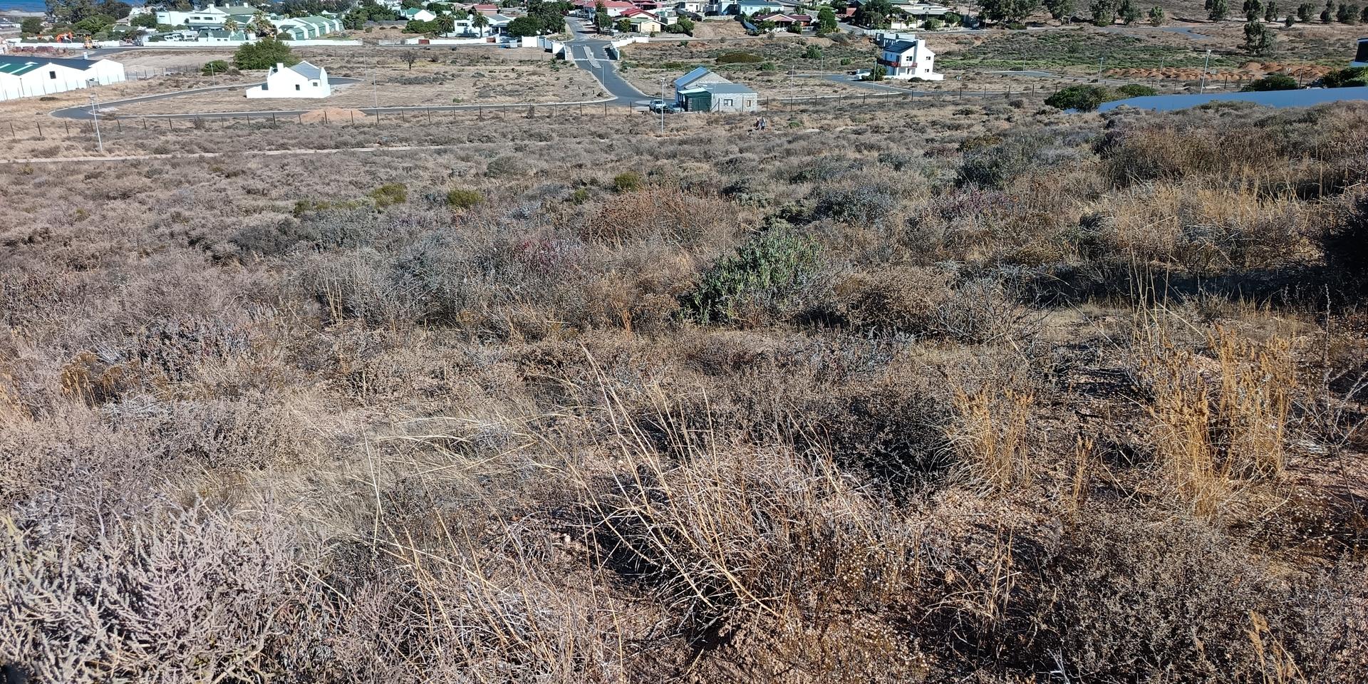 Image 4 of 6