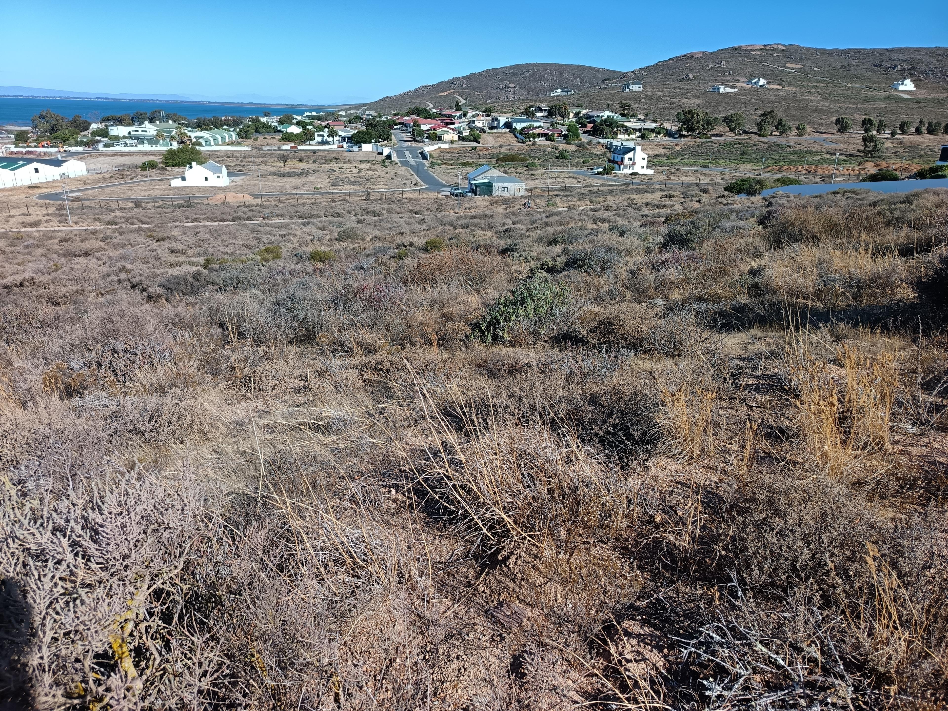 Image 4 of 6
