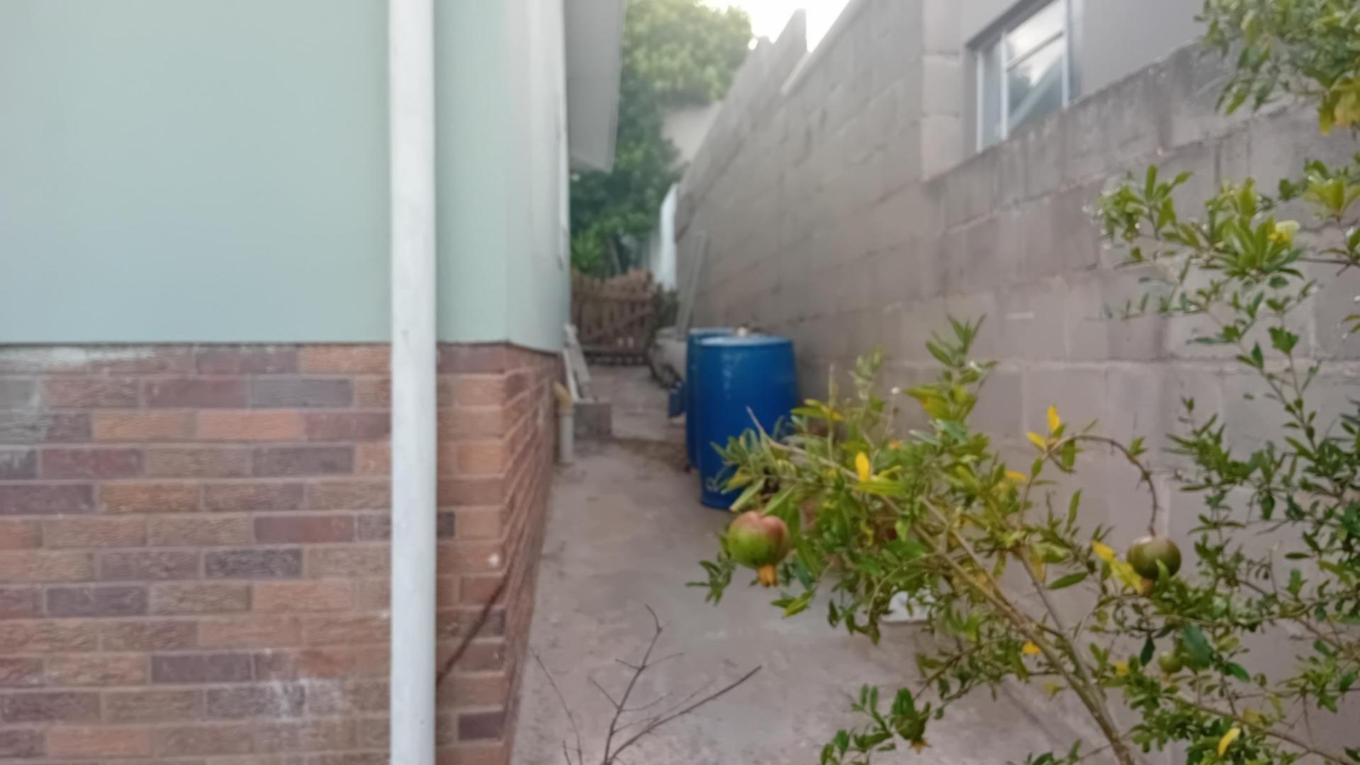 Image 23