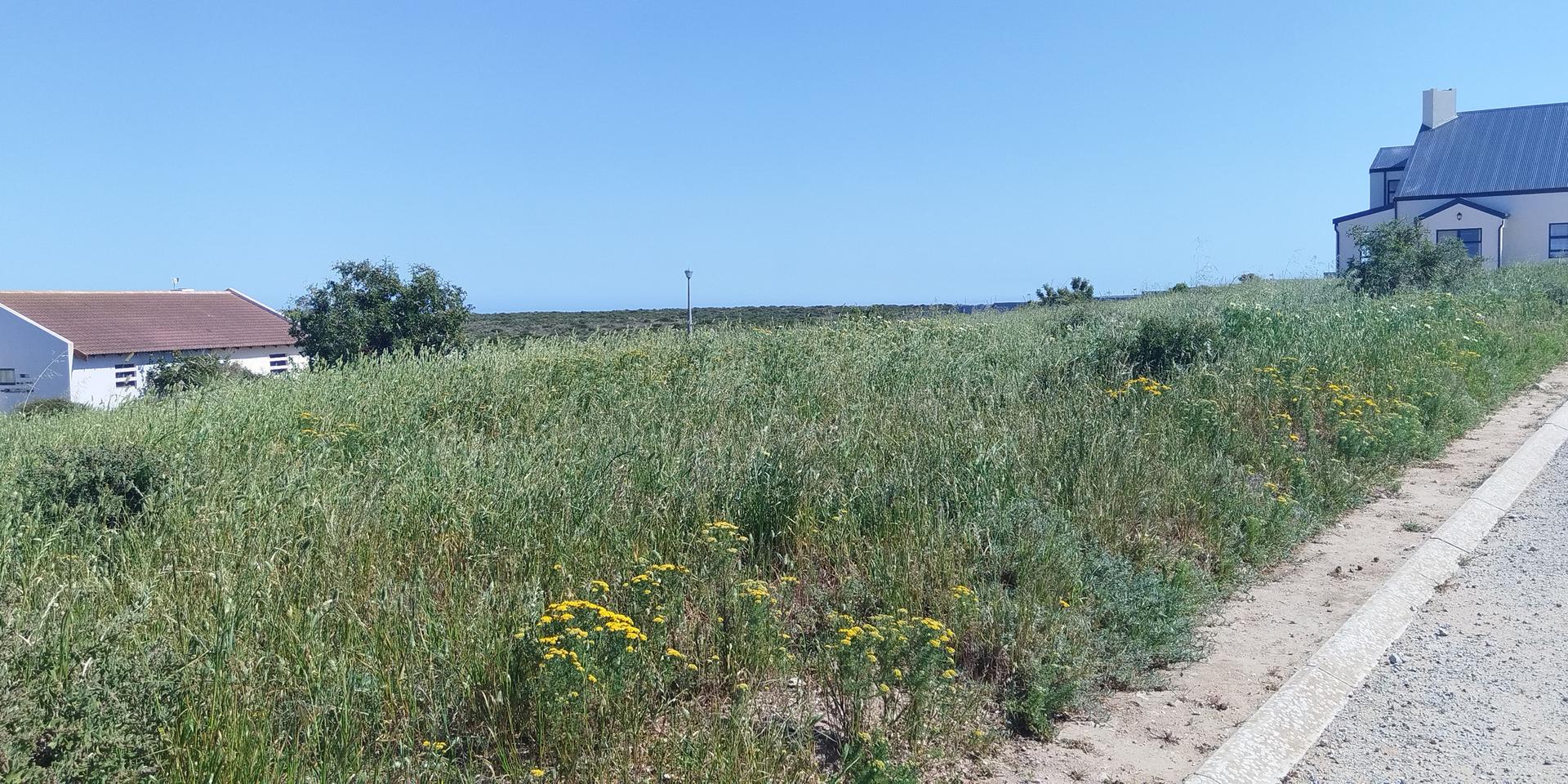 Image 4 of 6