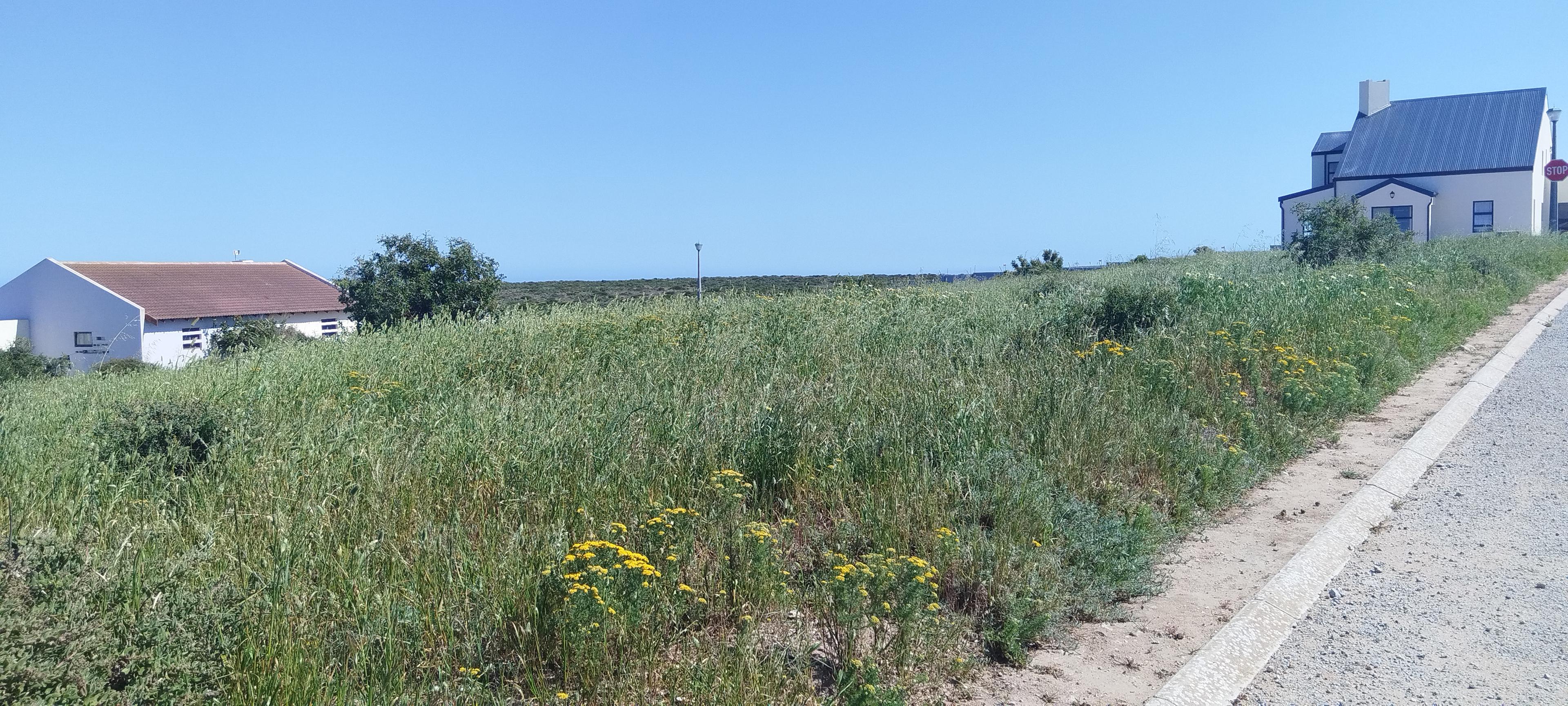 Image 4 of 6
