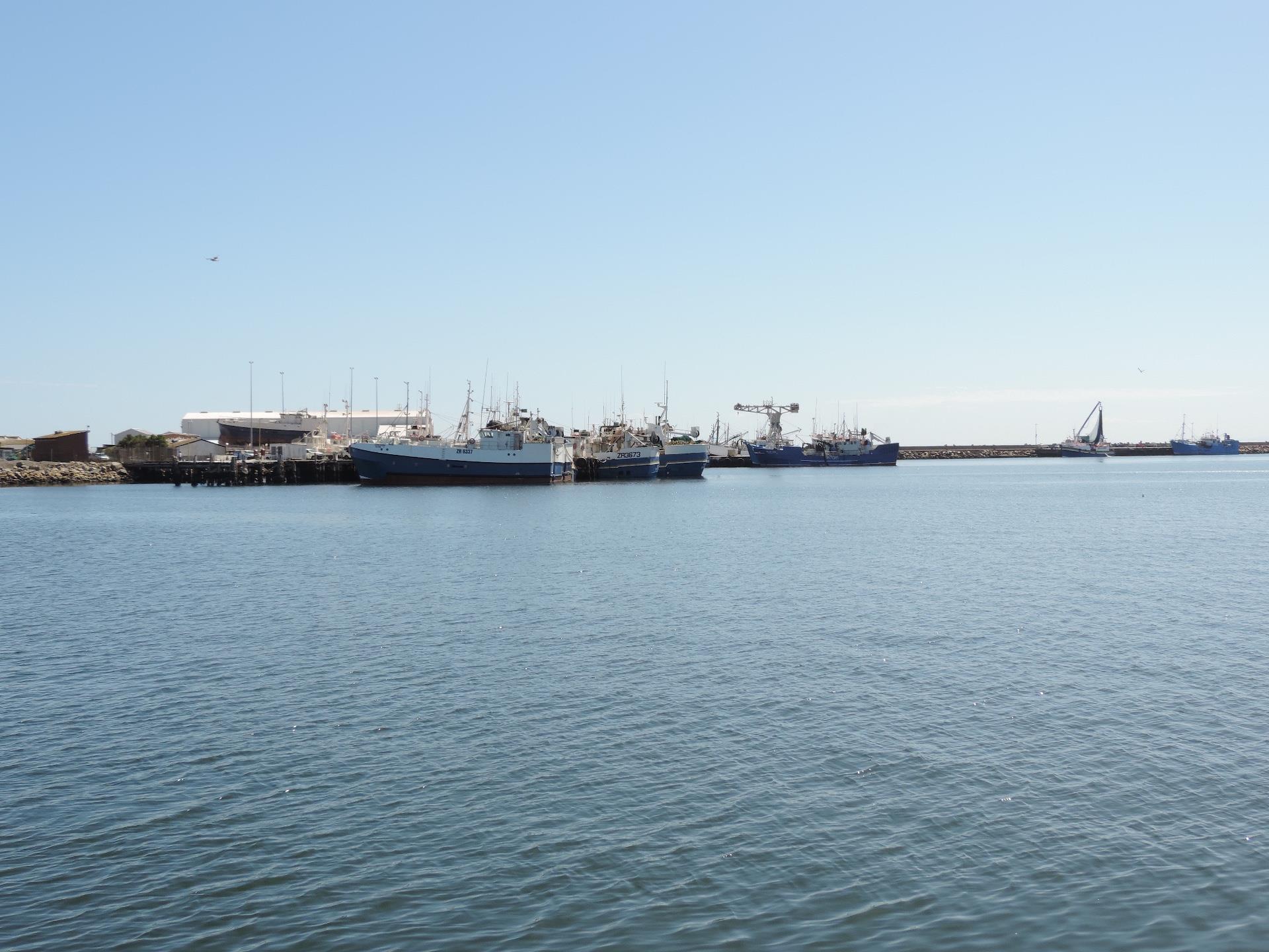 Image 15