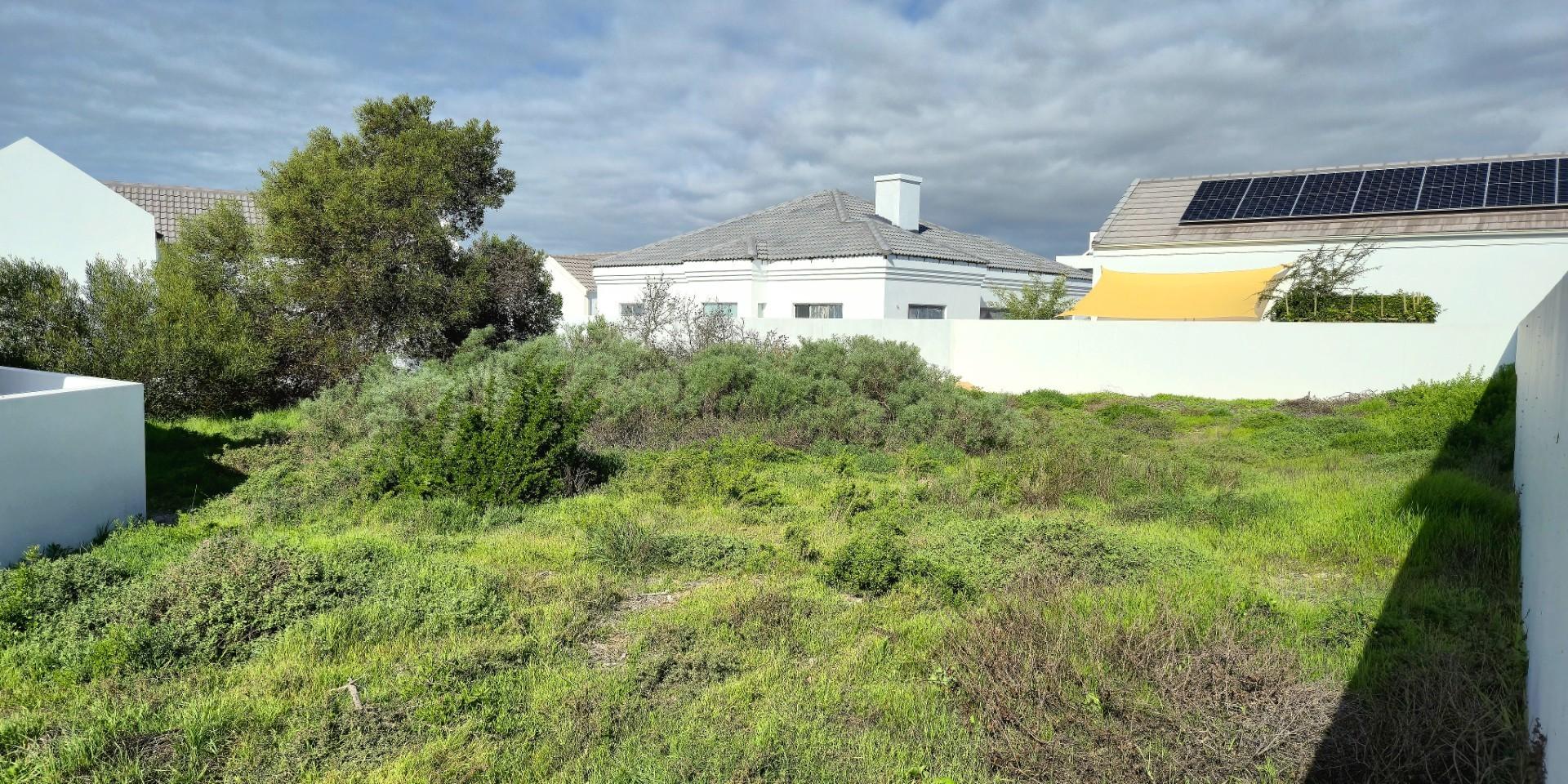 Image 2 of 6