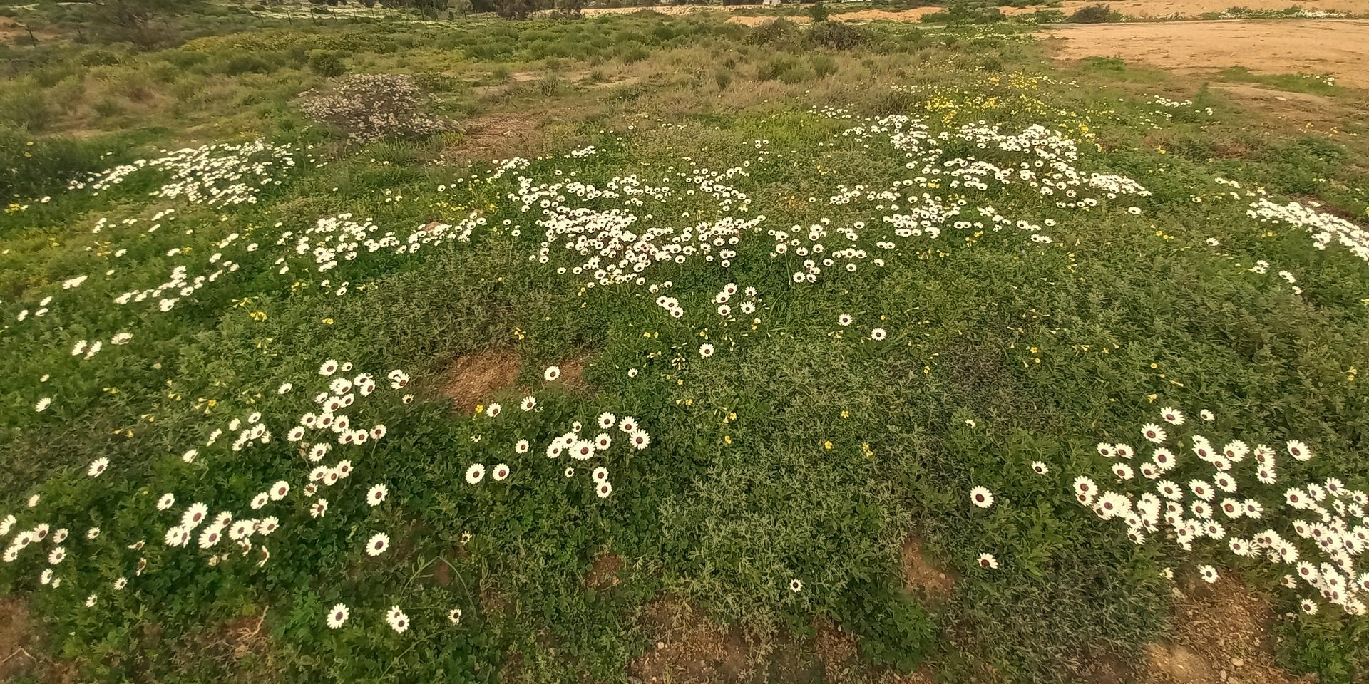 Image 4 of 6