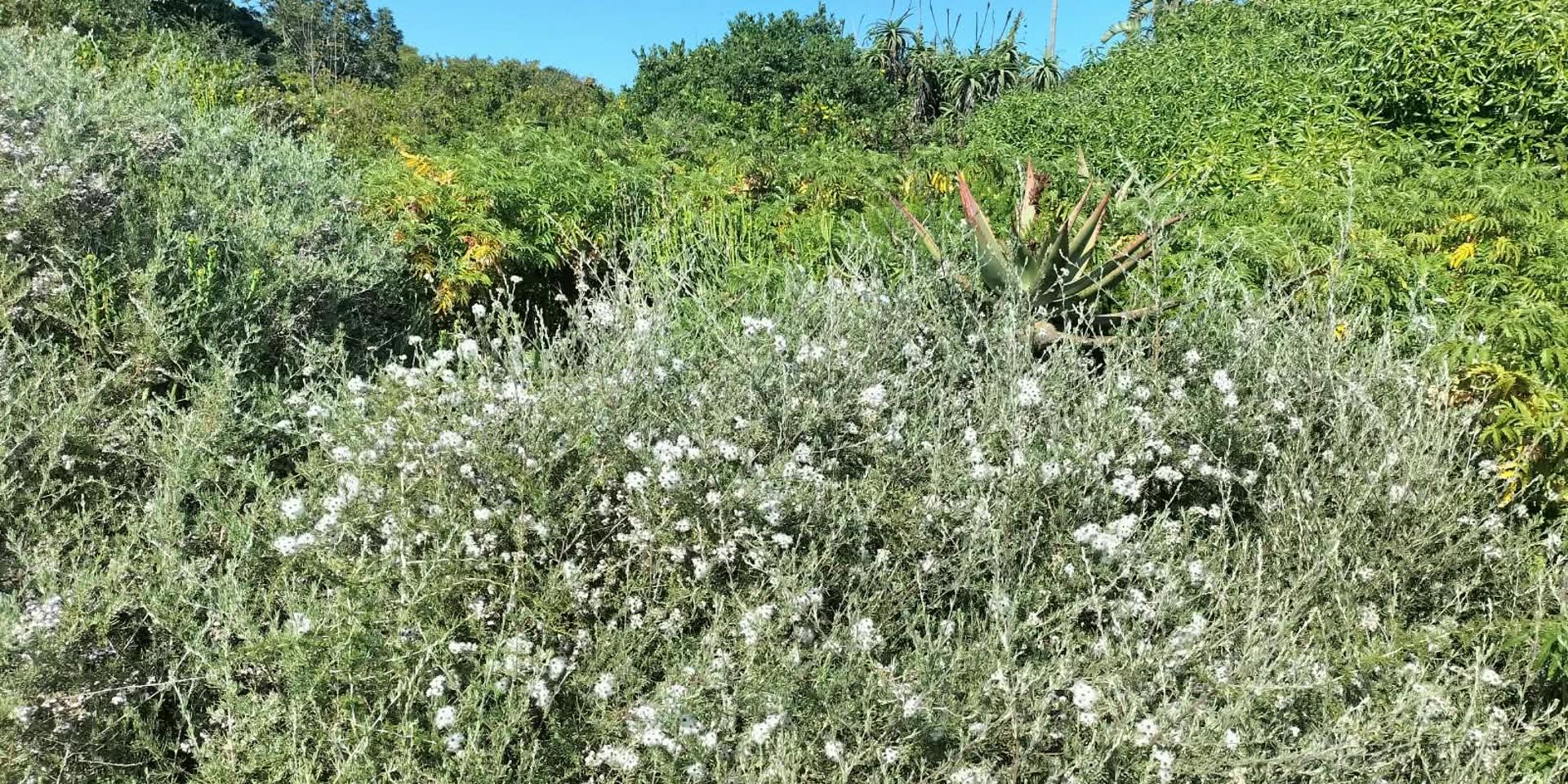 Image 3 of 6