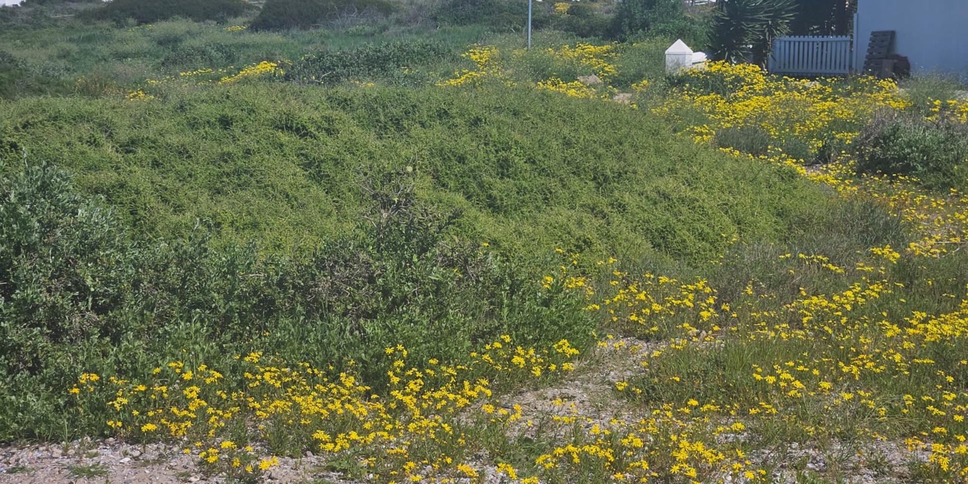 Image 4 of 6