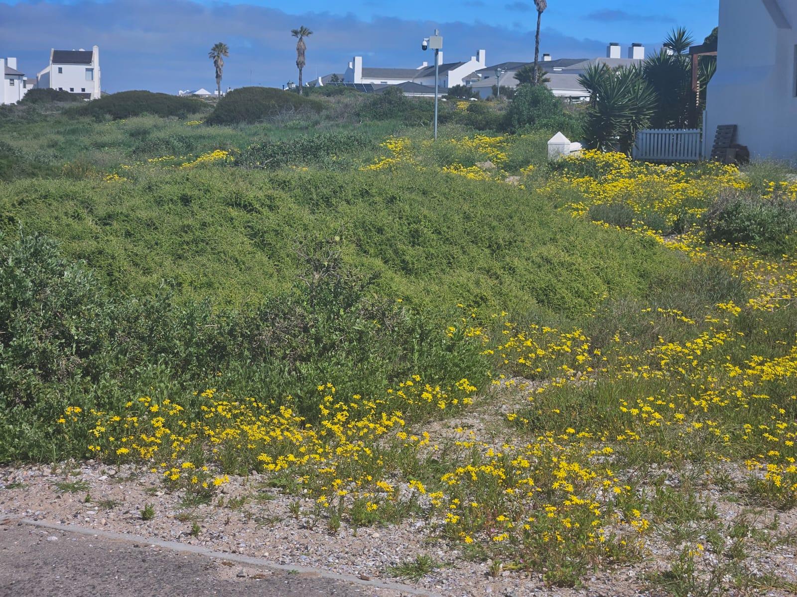 Image 4 of 6