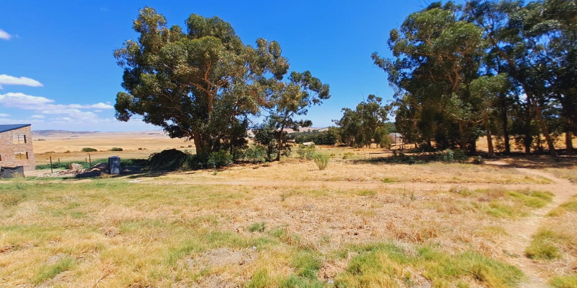 Image 4 of 6
