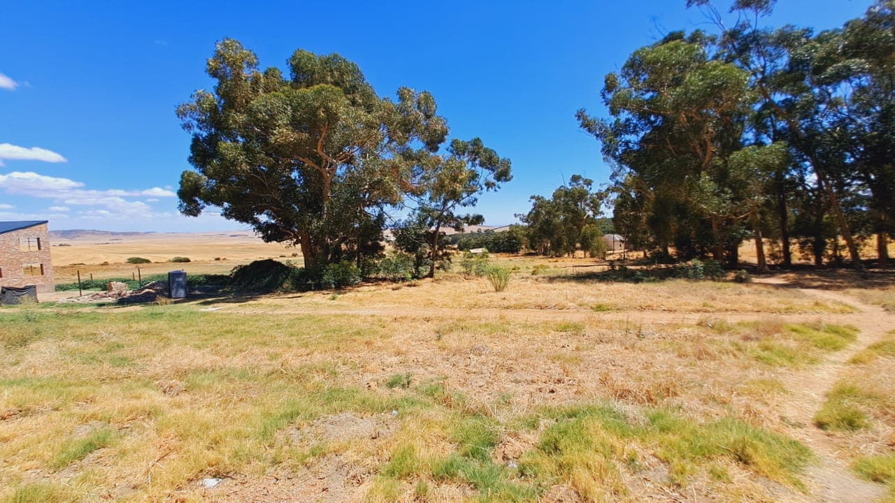 Image 4 of 6