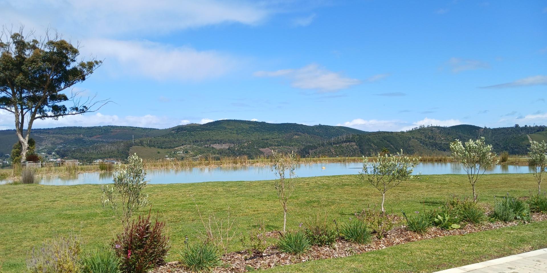 Image 5 of 6
