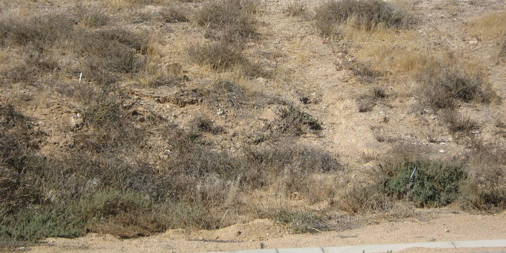 Image 4 of 6