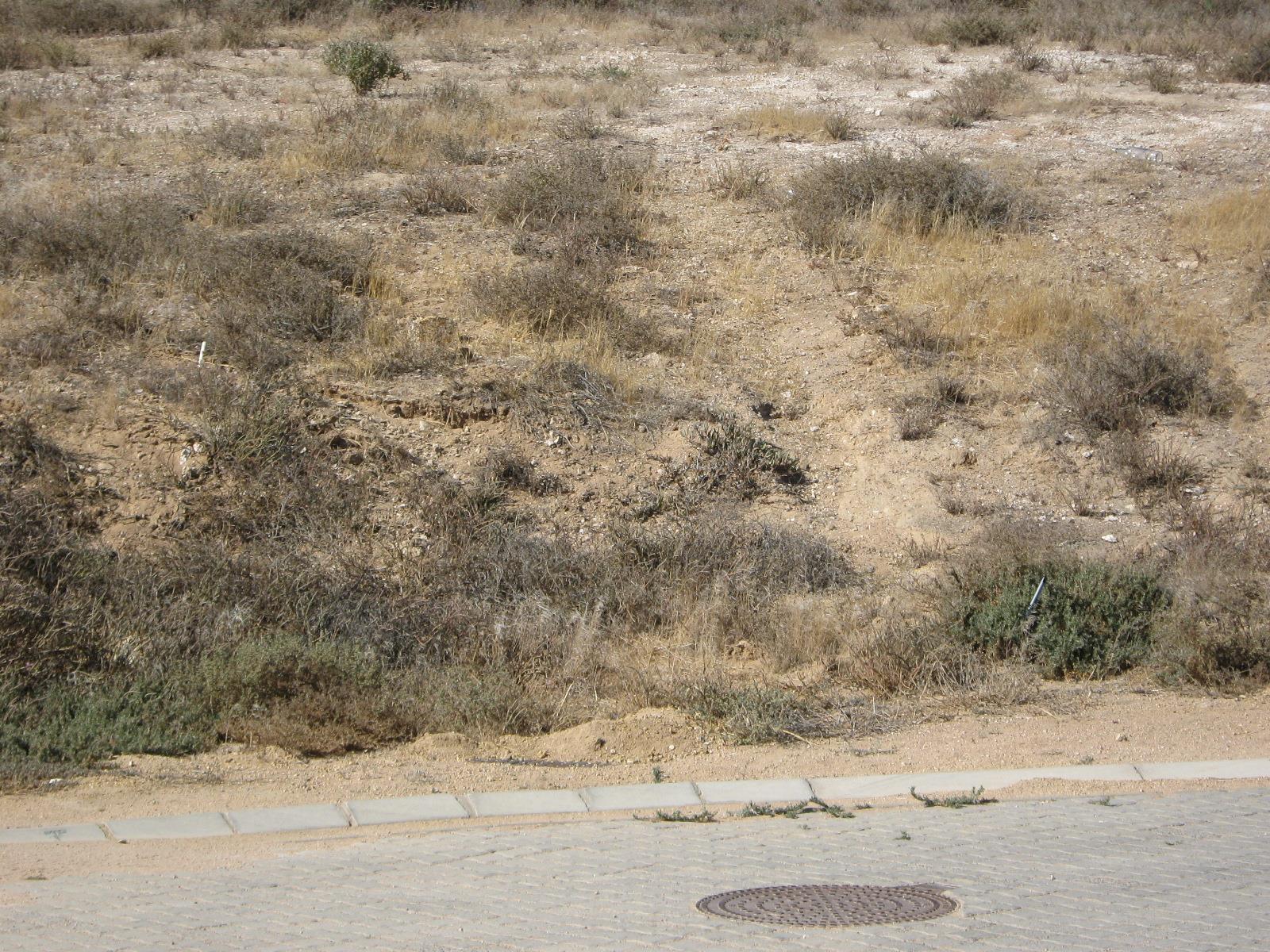 Image 4 of 6