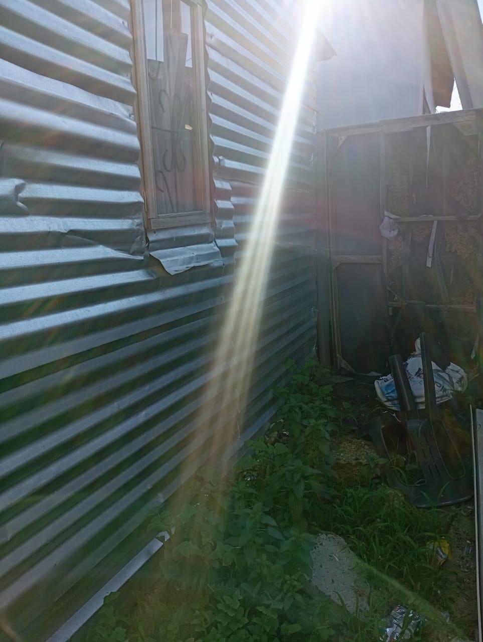 Image 7