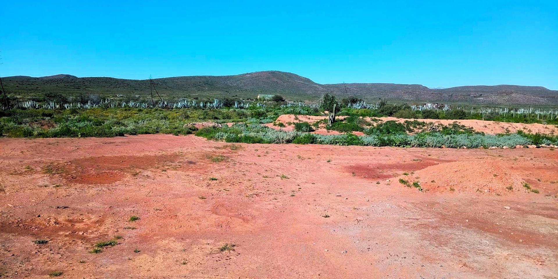 Image 3 of 6