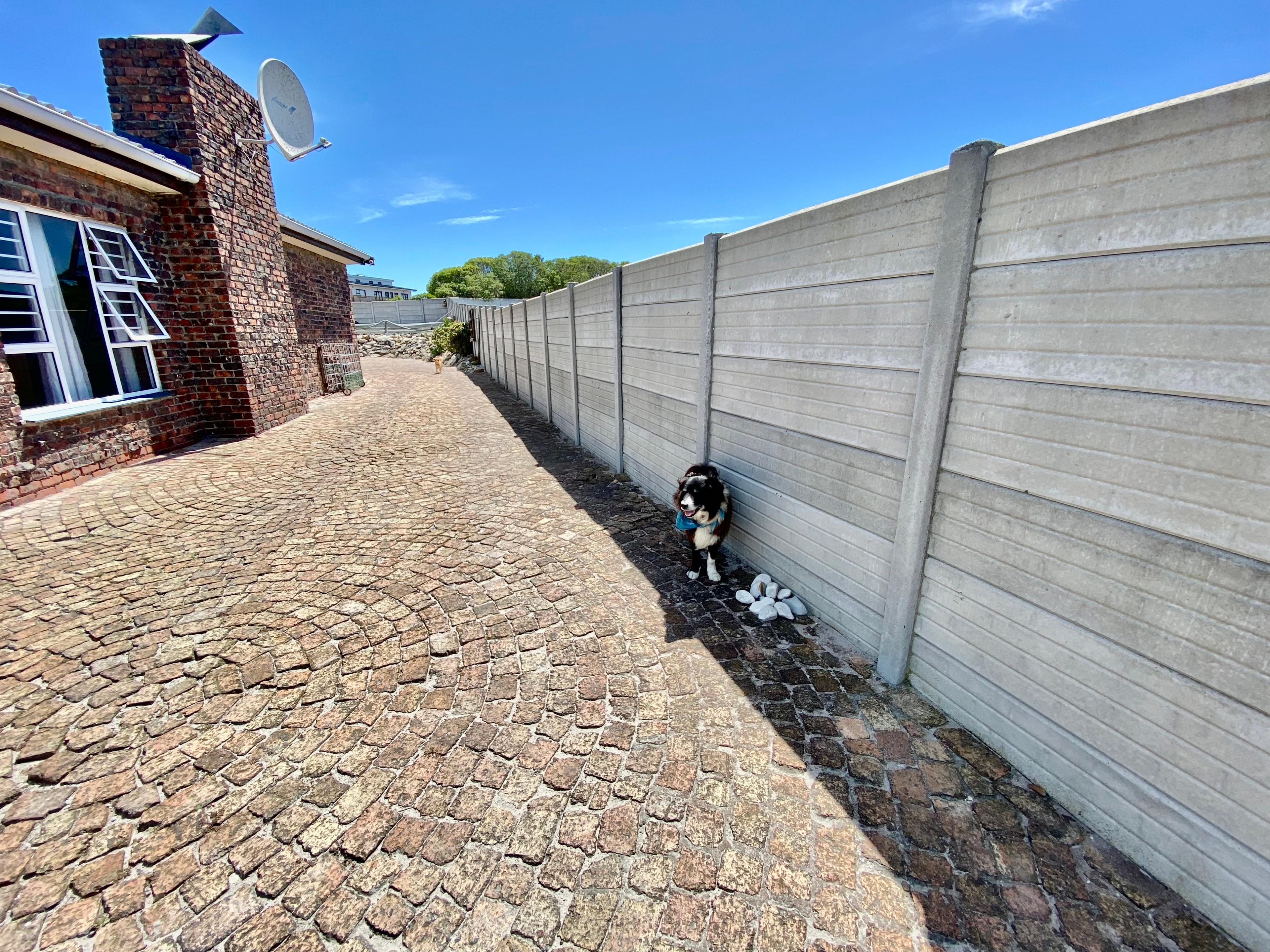 Image 20