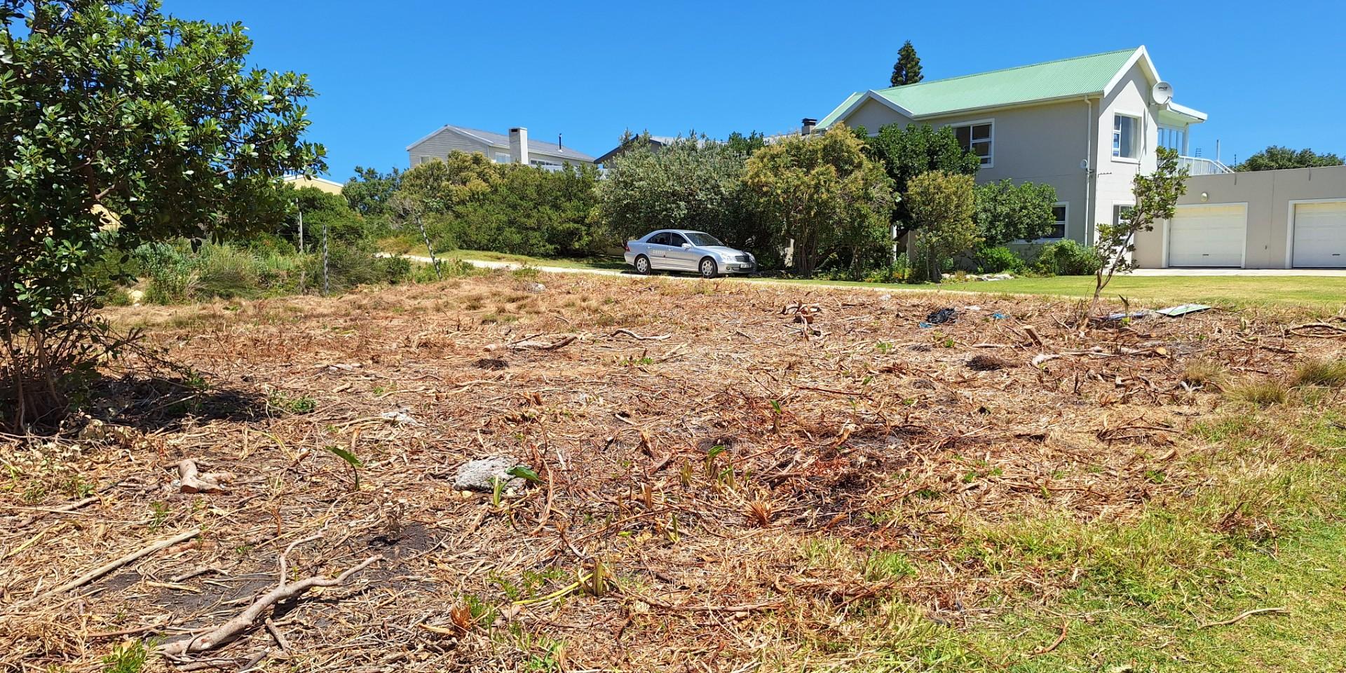 Image 4 of 6
