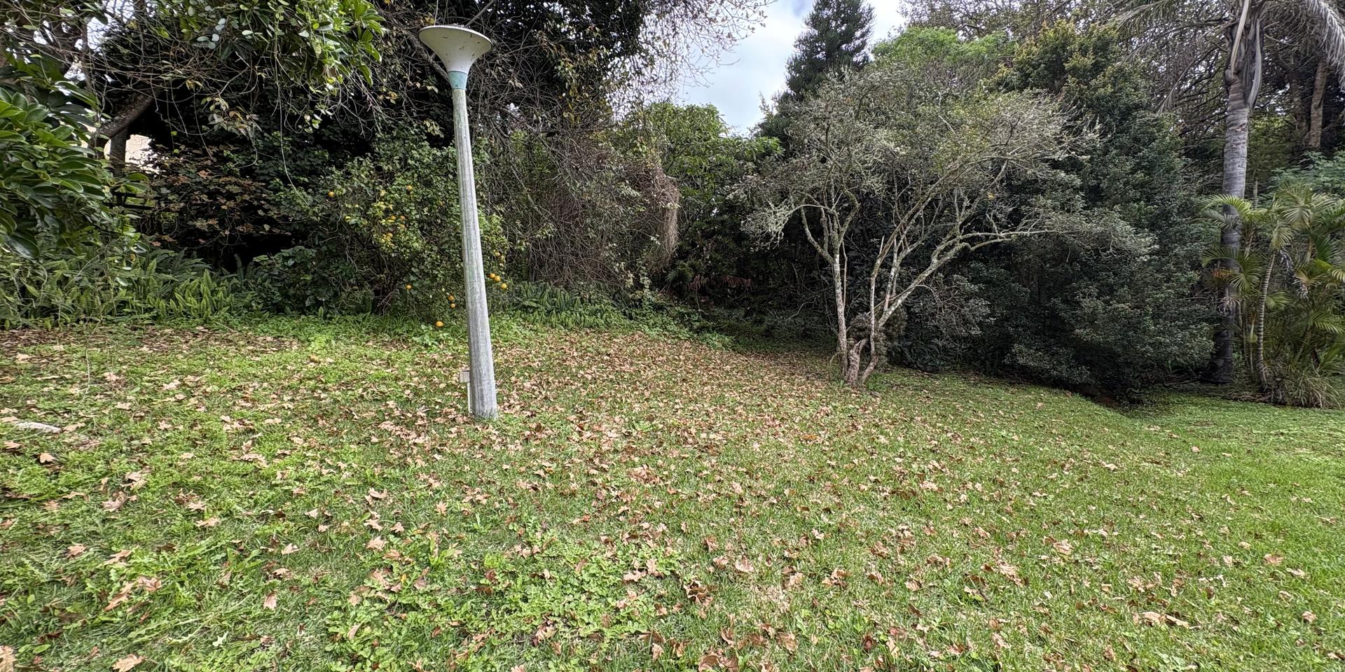 Image 2 of 6