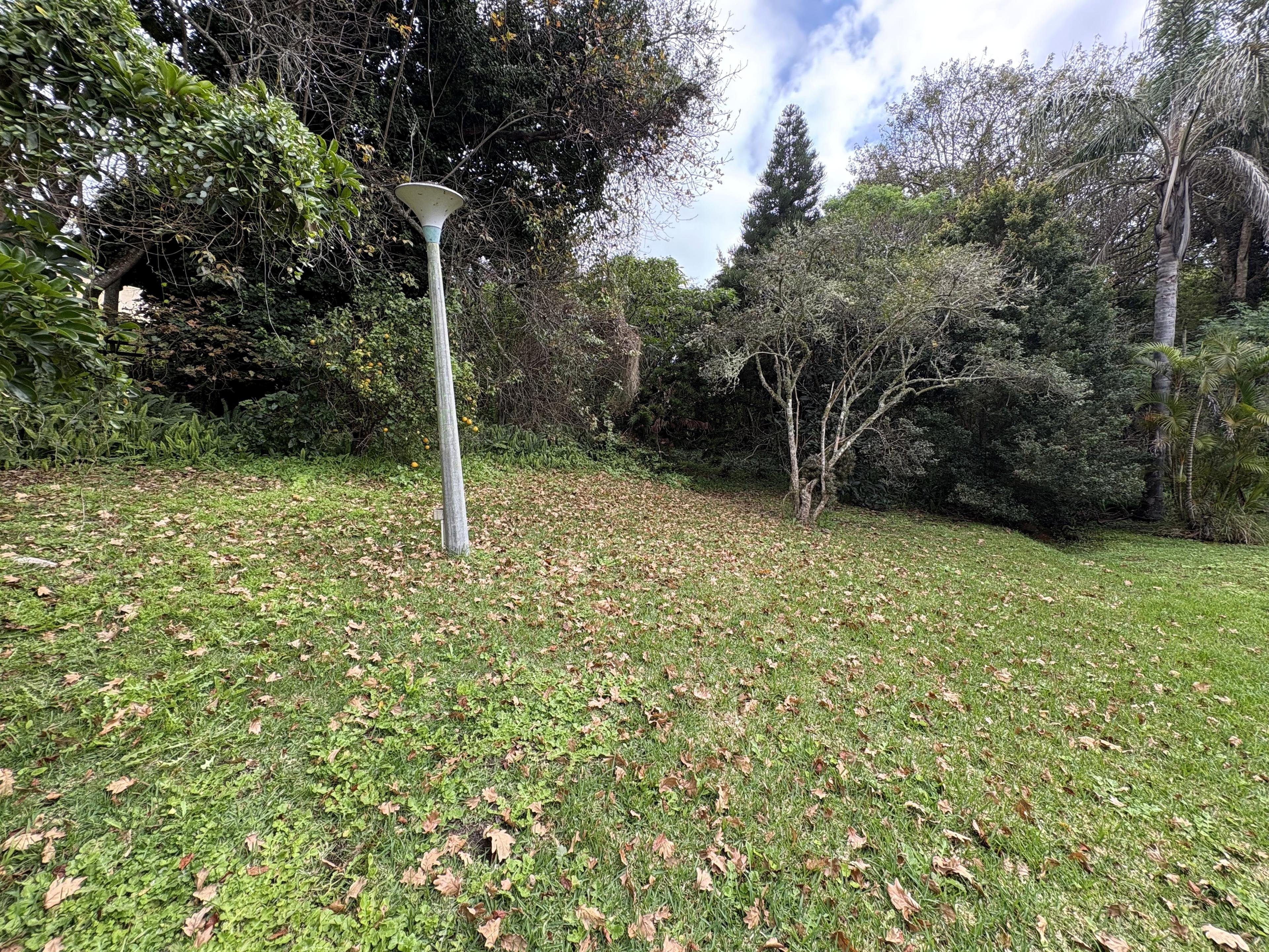 Image 2 of 6