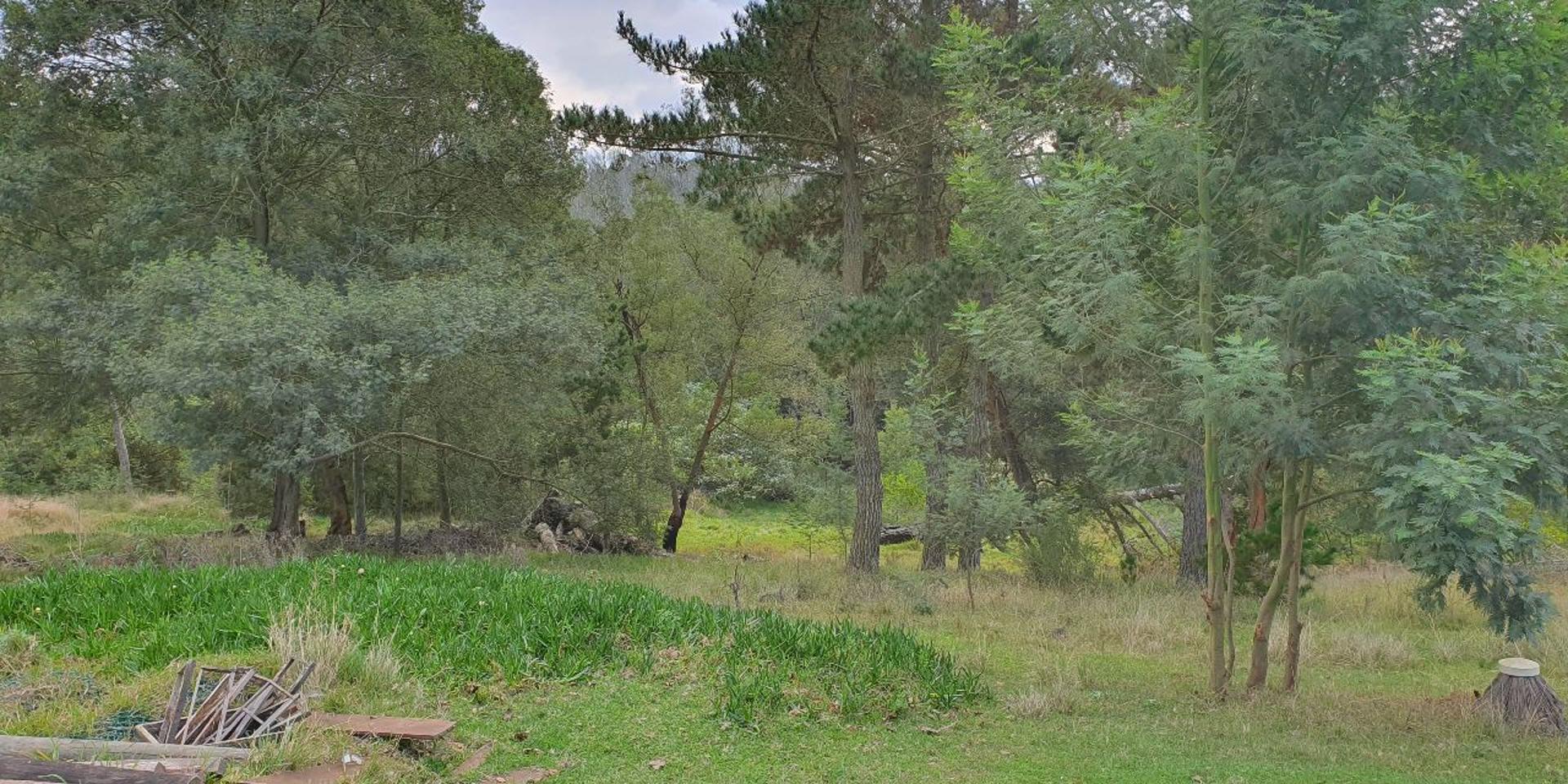 Image 4 of 6