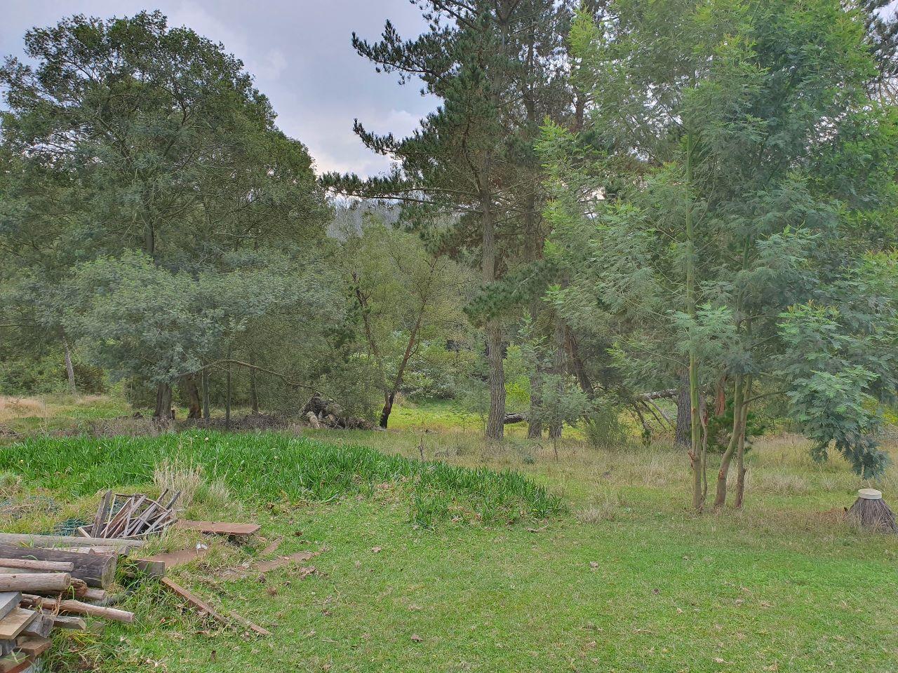 Image 4 of 6