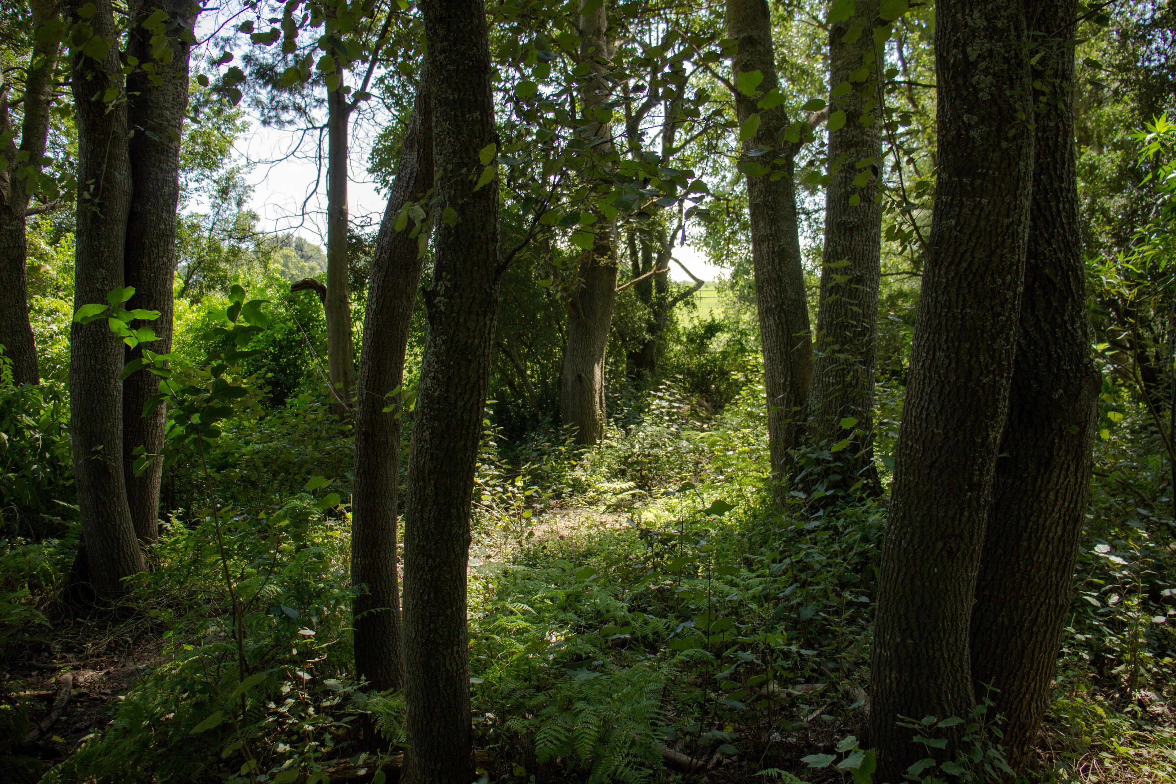 Image 35