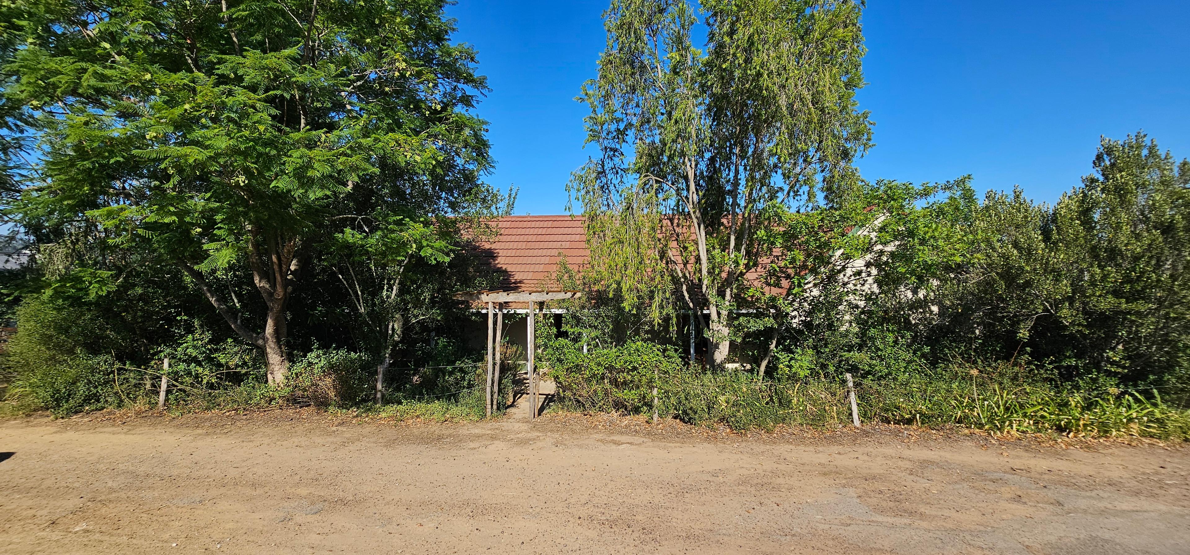 Image 36