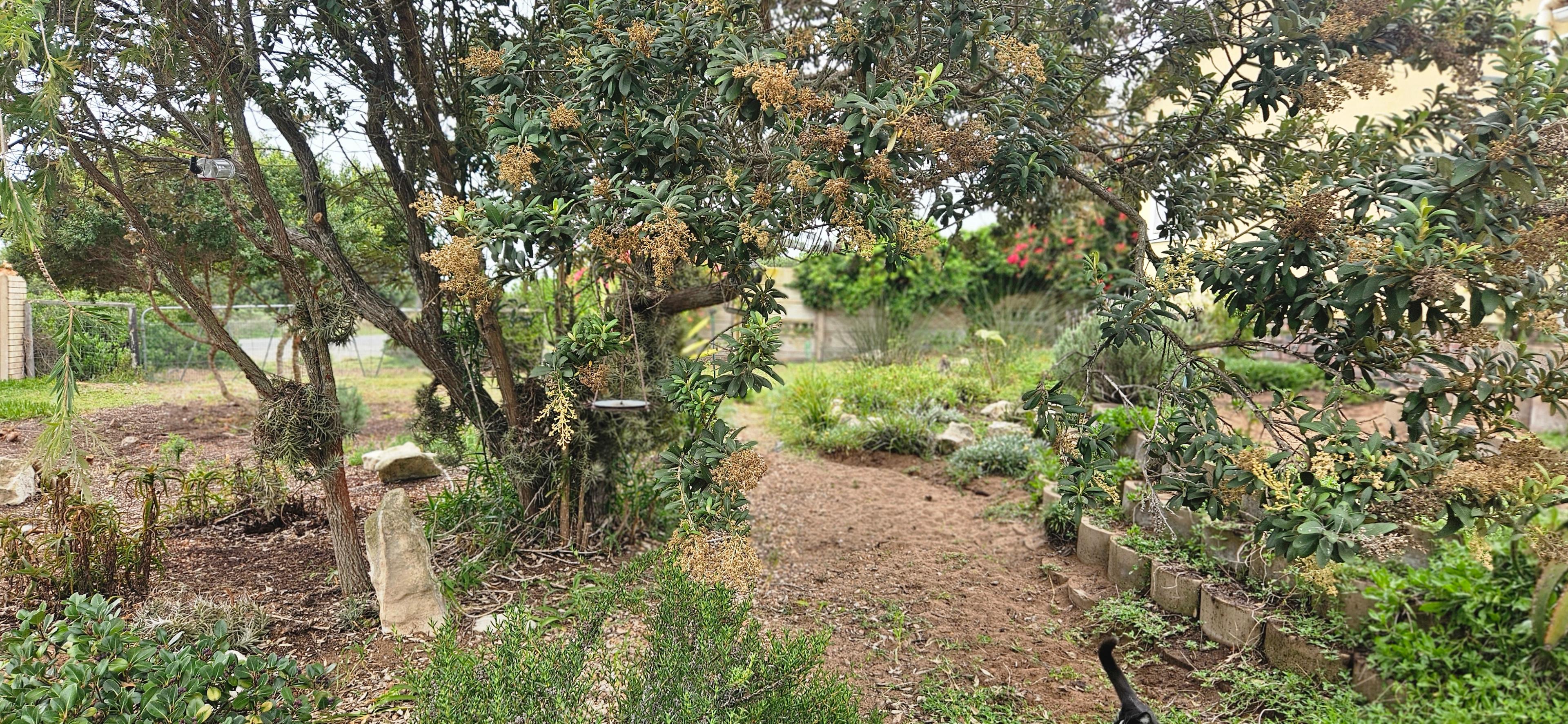 Image 18
