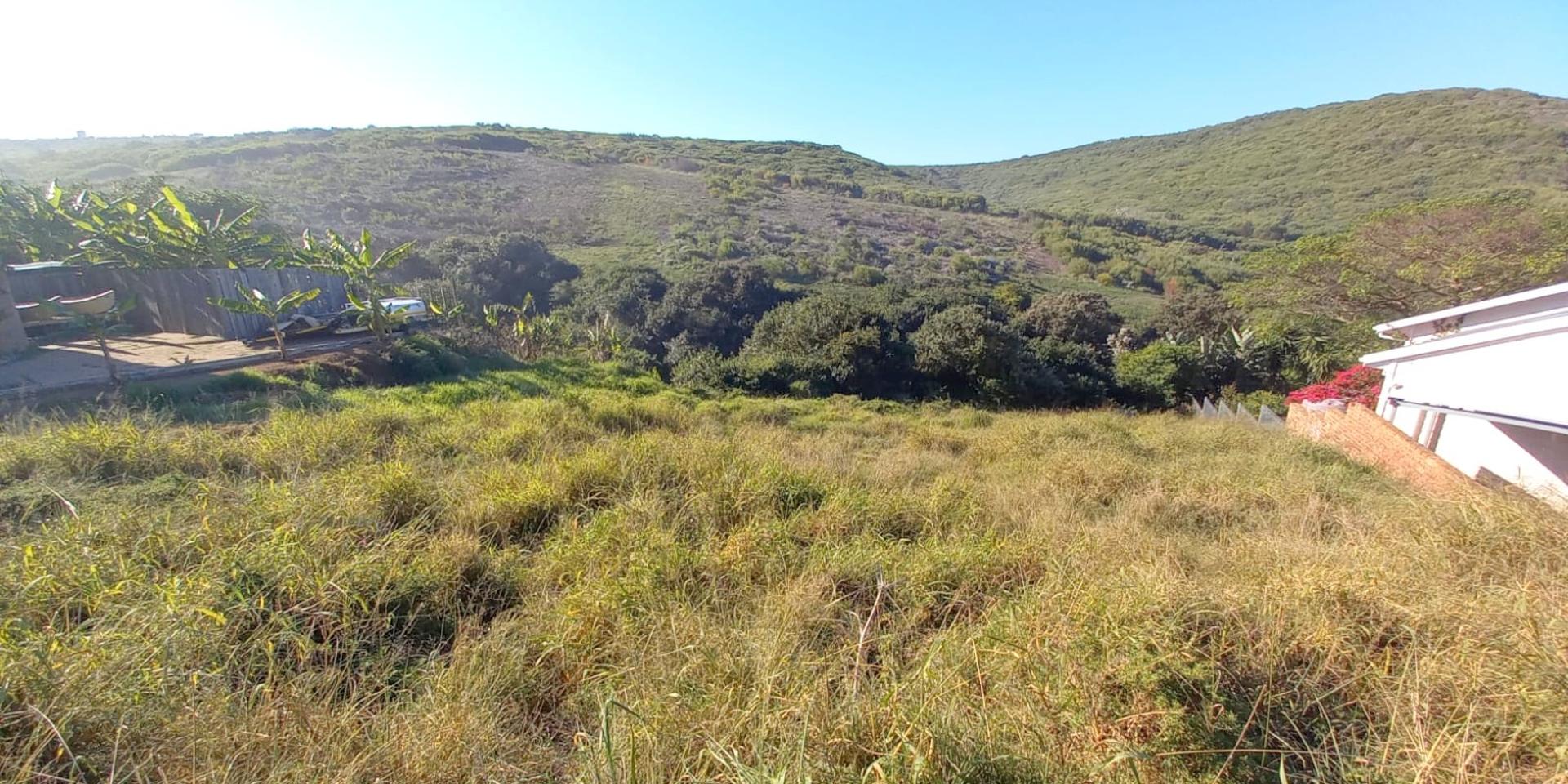 Image 5 of 6